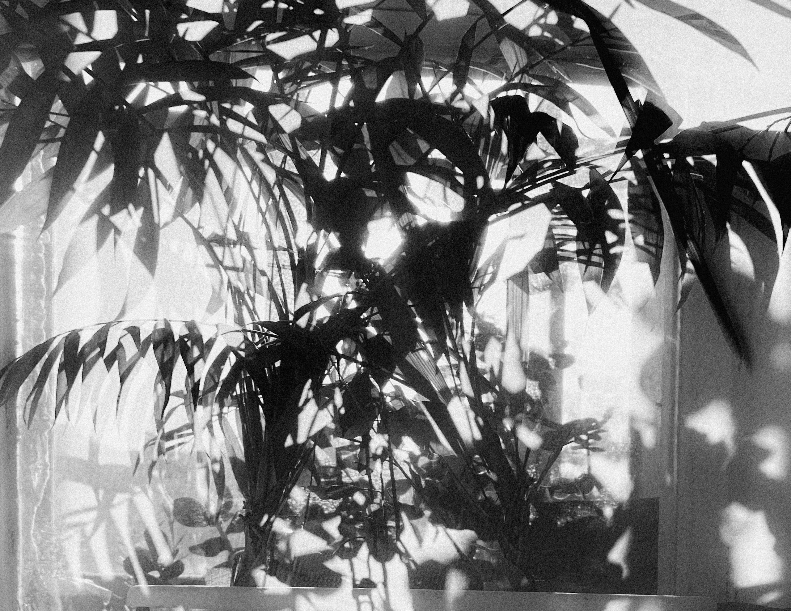 Точка черного. Сафонов Владислав, фотохудожник