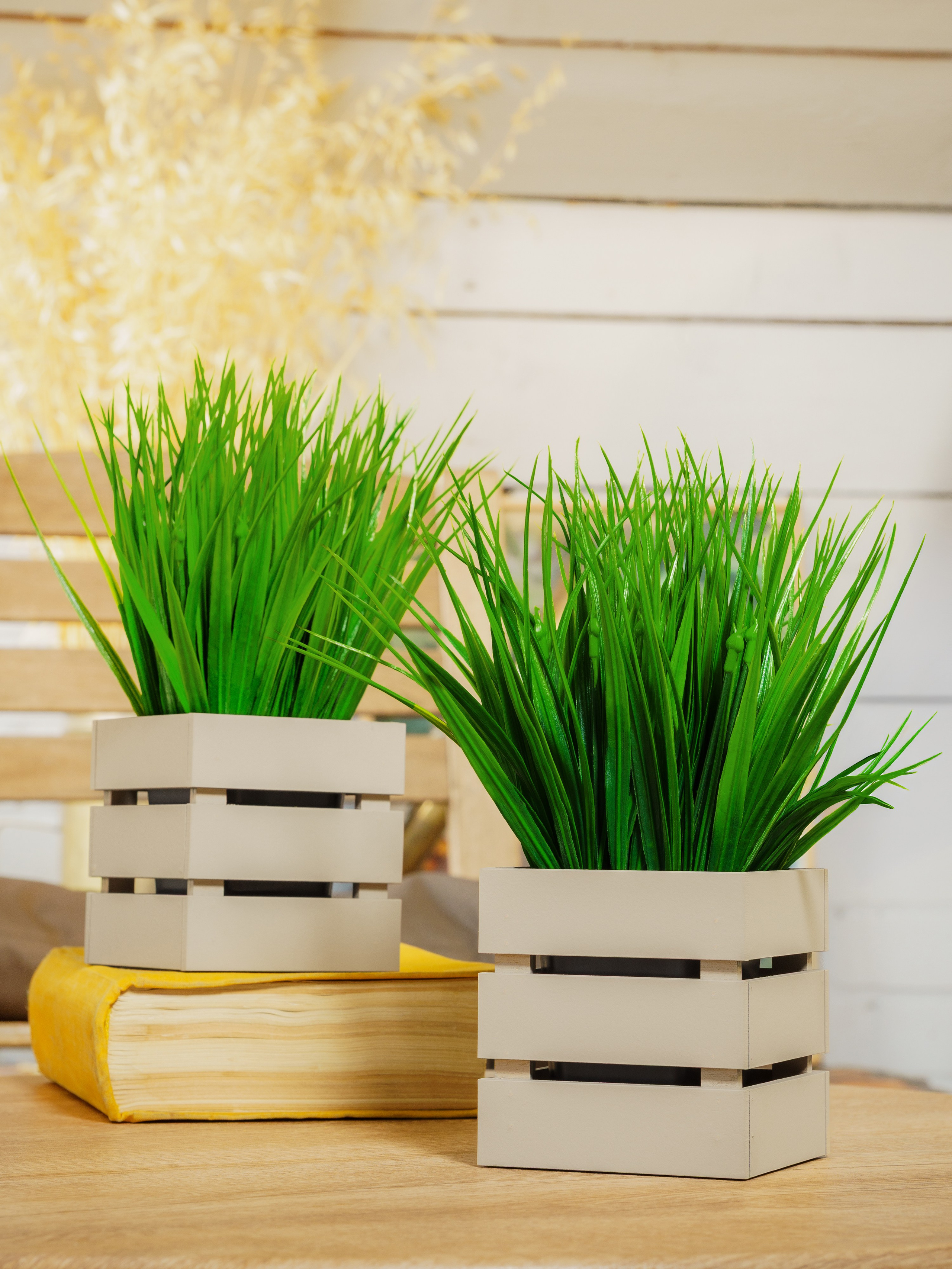 Кашпо. Макаров Сергей|Creamlebot Фотограф города Ростов-на-Дону