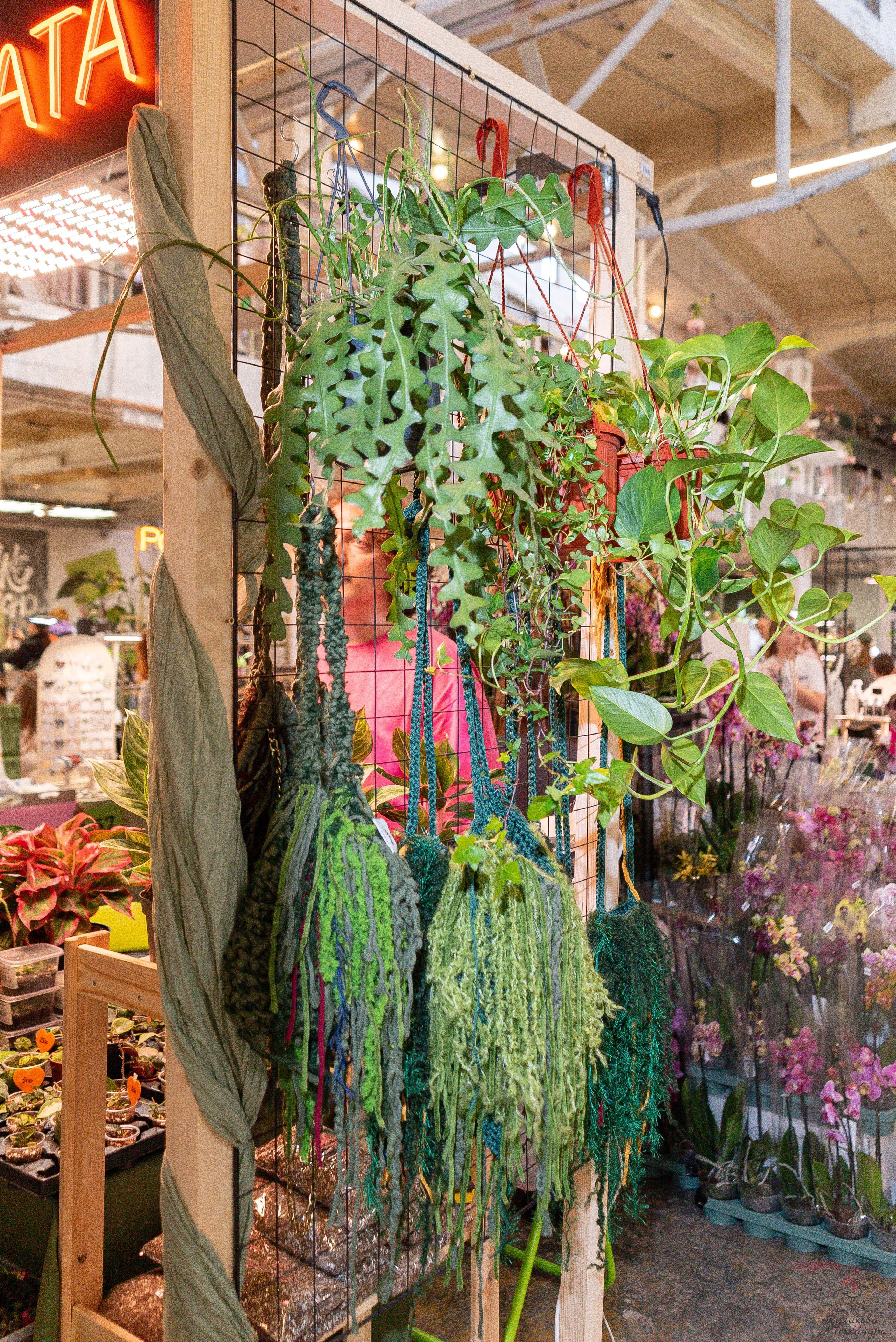 Гроубокс Артплей апрель. Александра Куликова фотограф, Москва