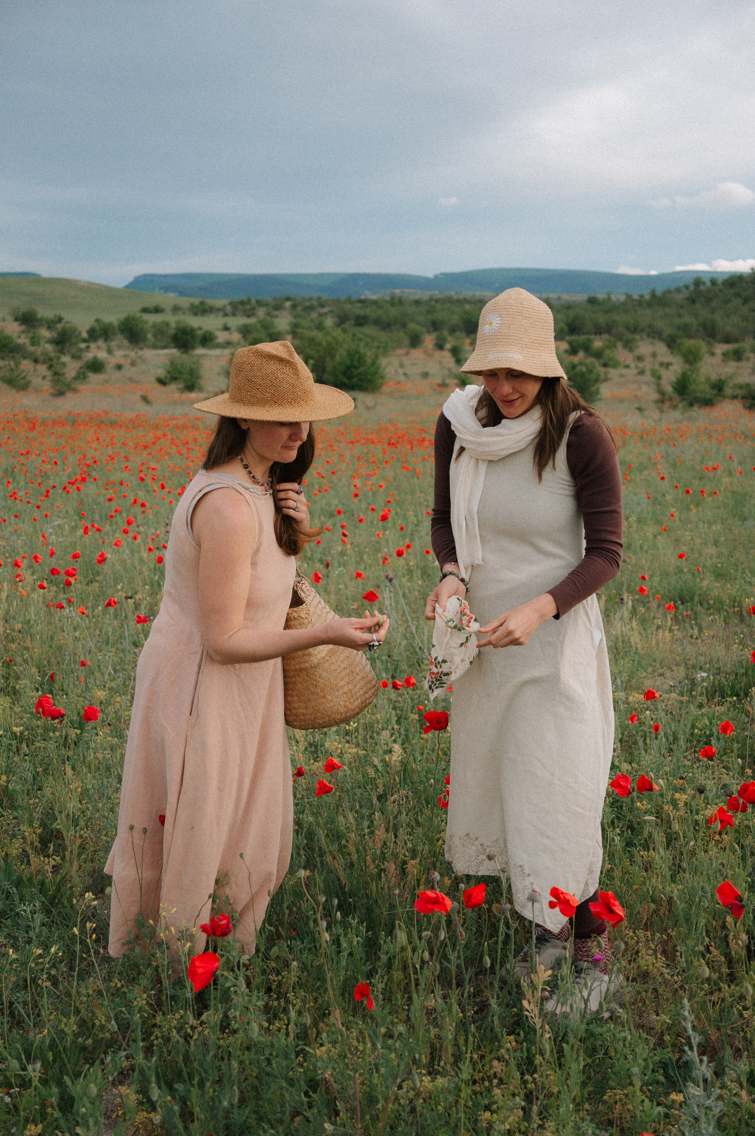 Тур за травами | маки. Обо мне