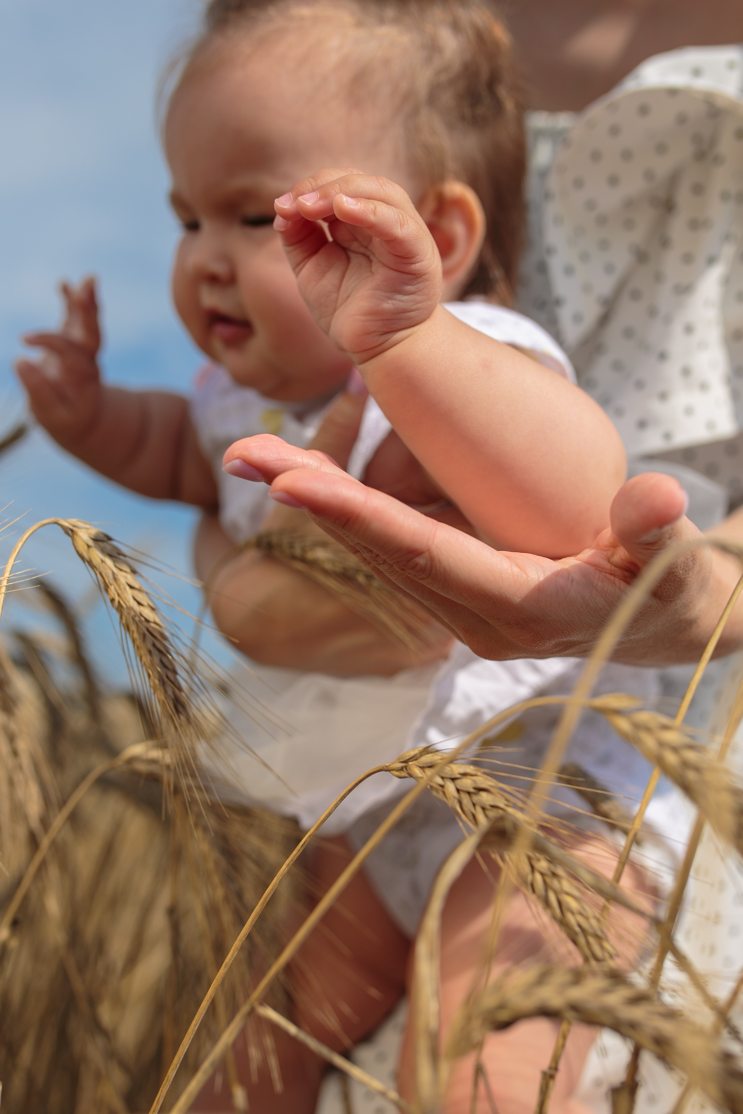 Фотопрогулка. Фотосессия беременности, семейный фотограф в Санкт-Петербурге