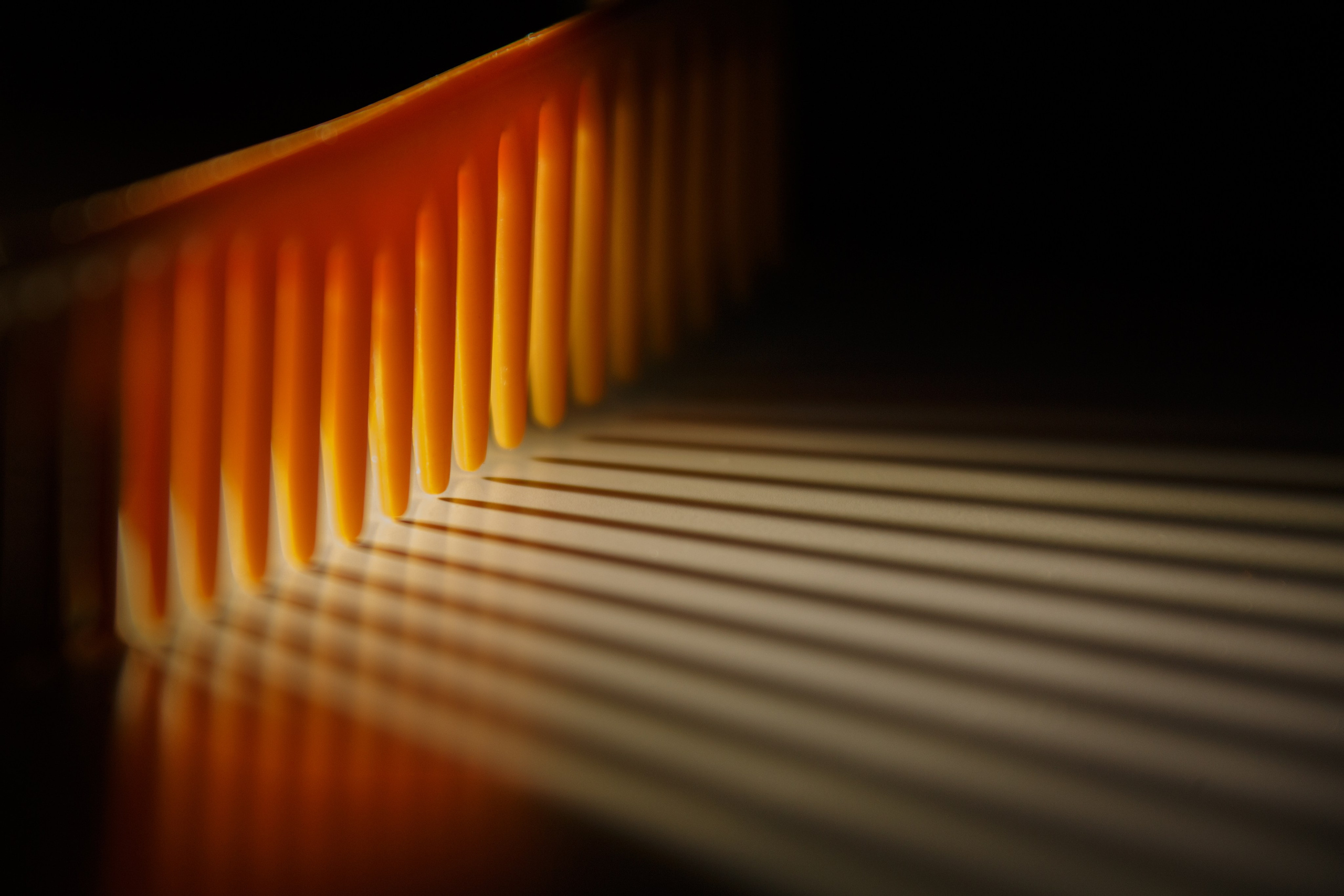 Проект «366»|2024|Фото каждый день. LENA GRACE photographer ||ЛЕНА ГРЭЙС фотограф