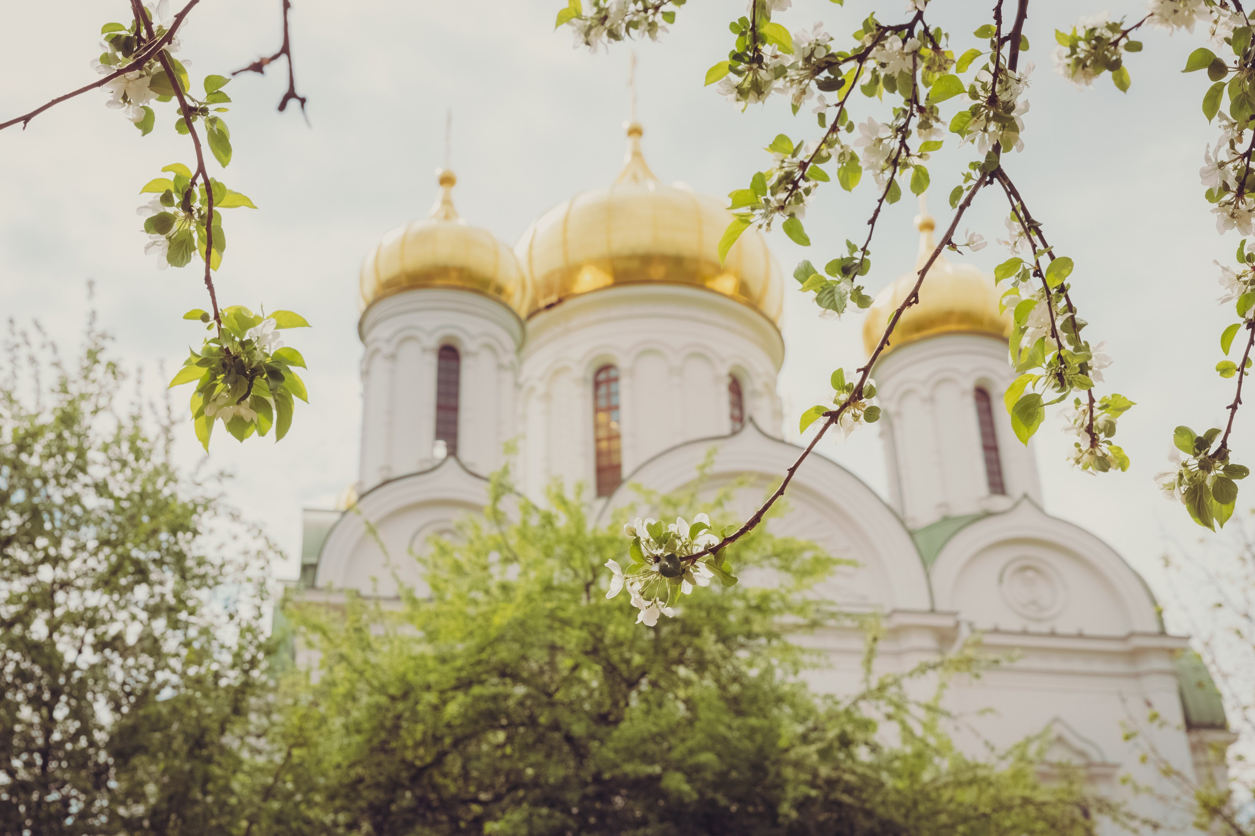 Екатерининский собор. Свадебный фотограф, крещение, венчание СПБ, Белгород Анна Коршунова