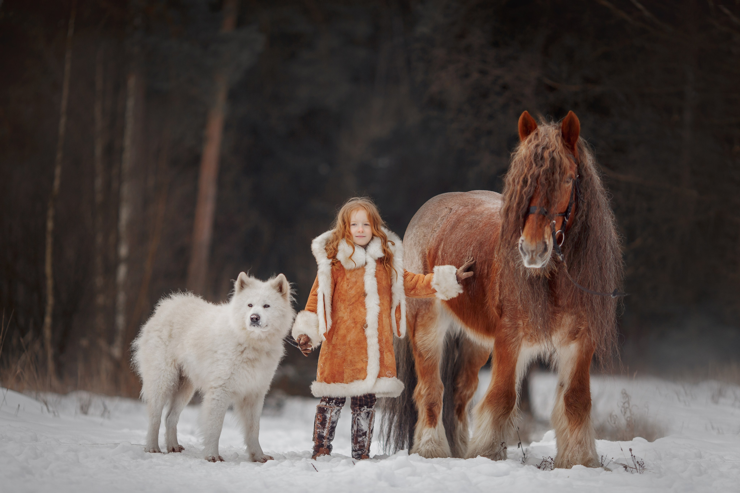 Детская конная съёмка. Детская Конная фотография в Москве Юлия Шепелева
