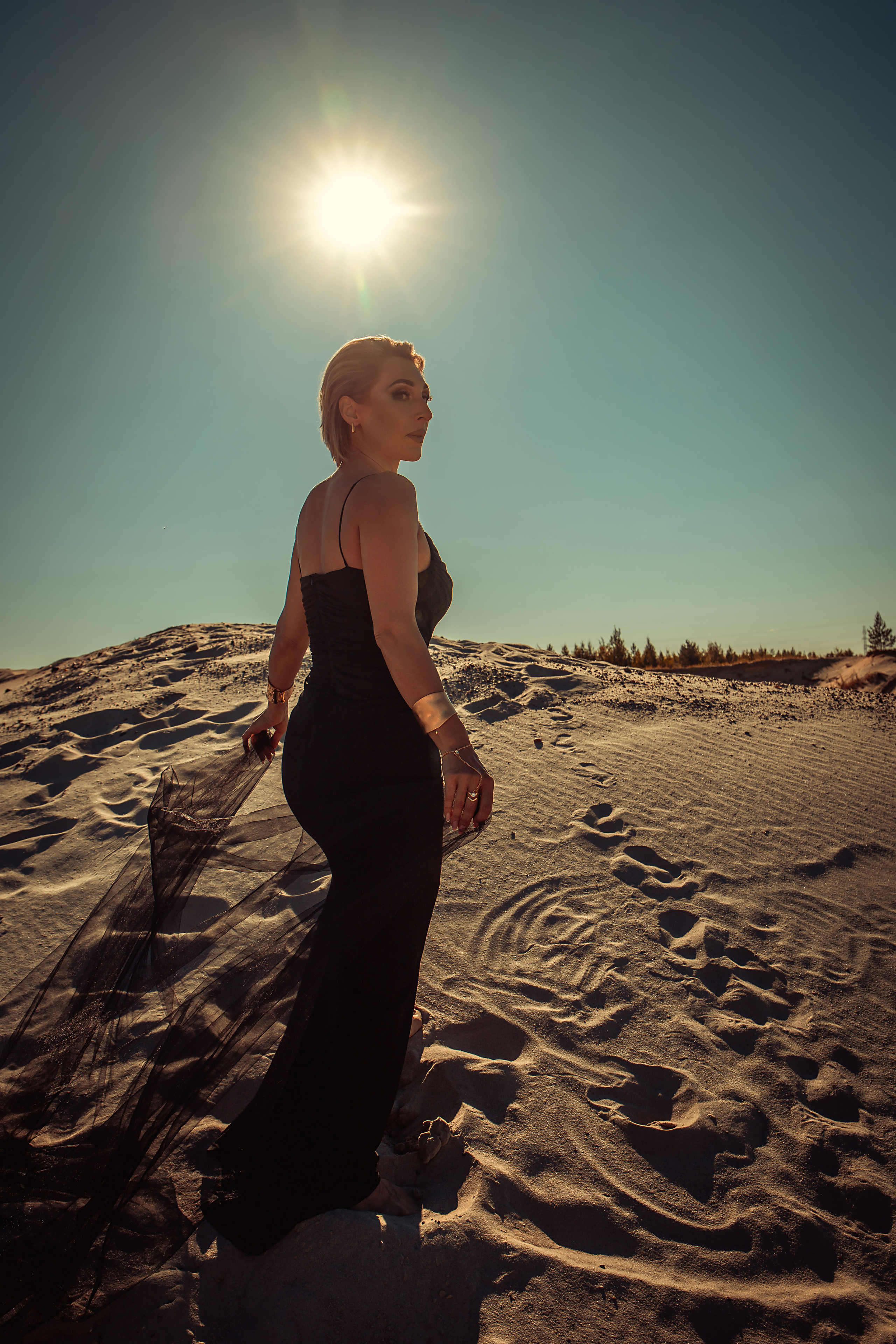 Проект «Sahara» Инга