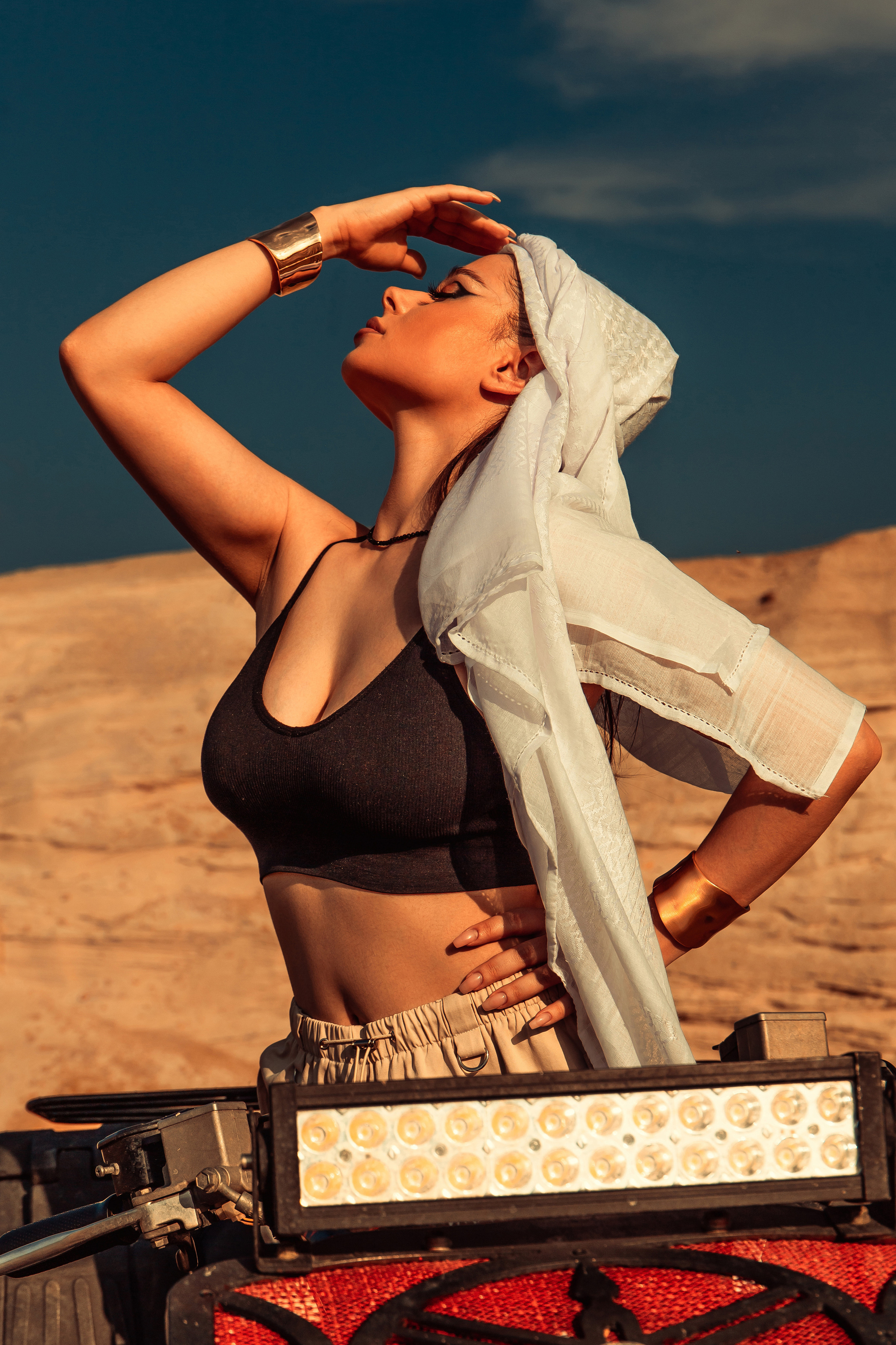 Проект «Sahara» Анастасия