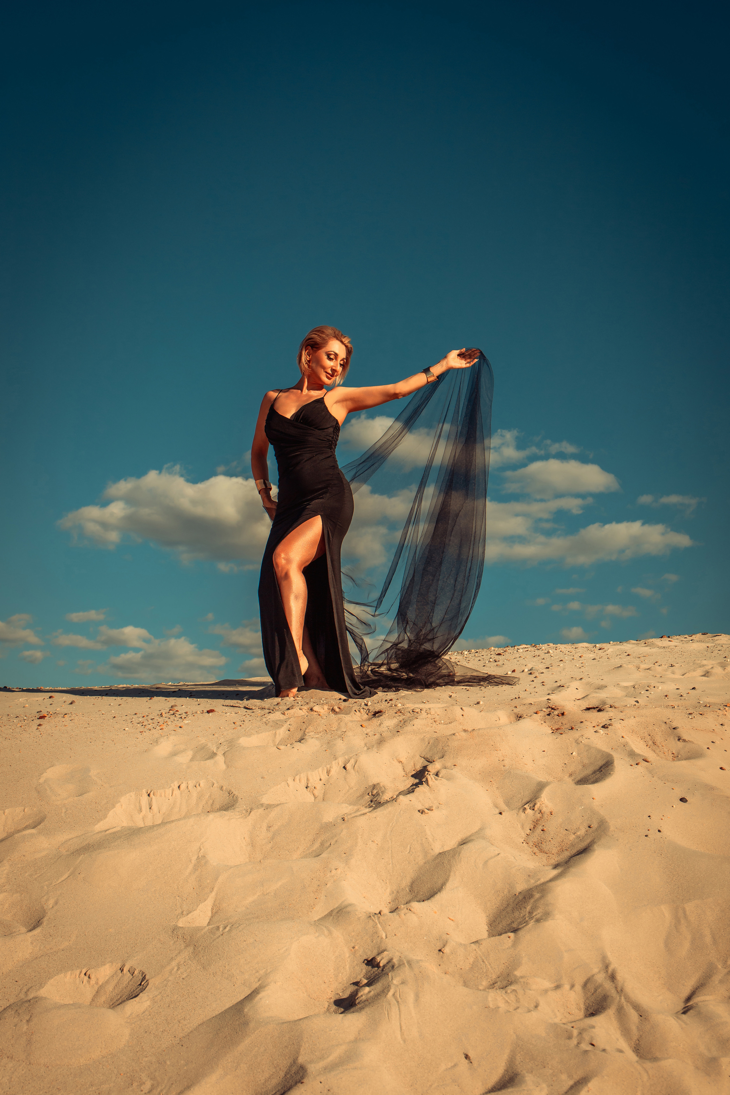 Проект «Sahara» Инга