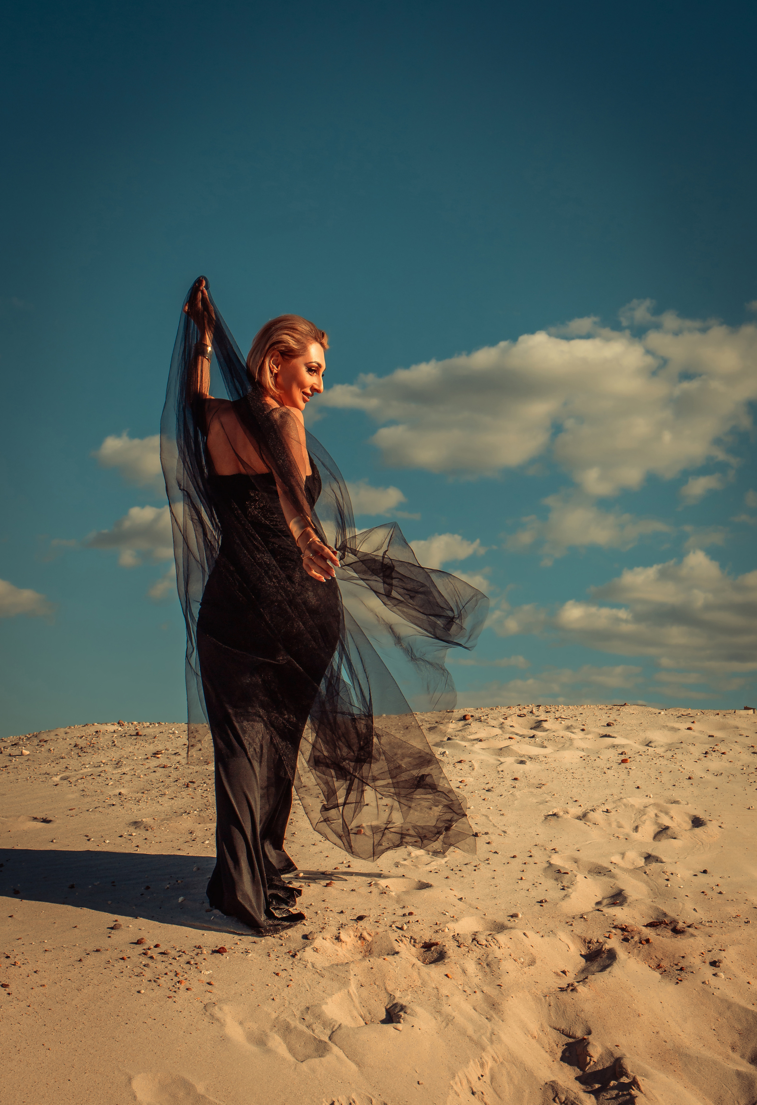 Проект «Sahara» Инга