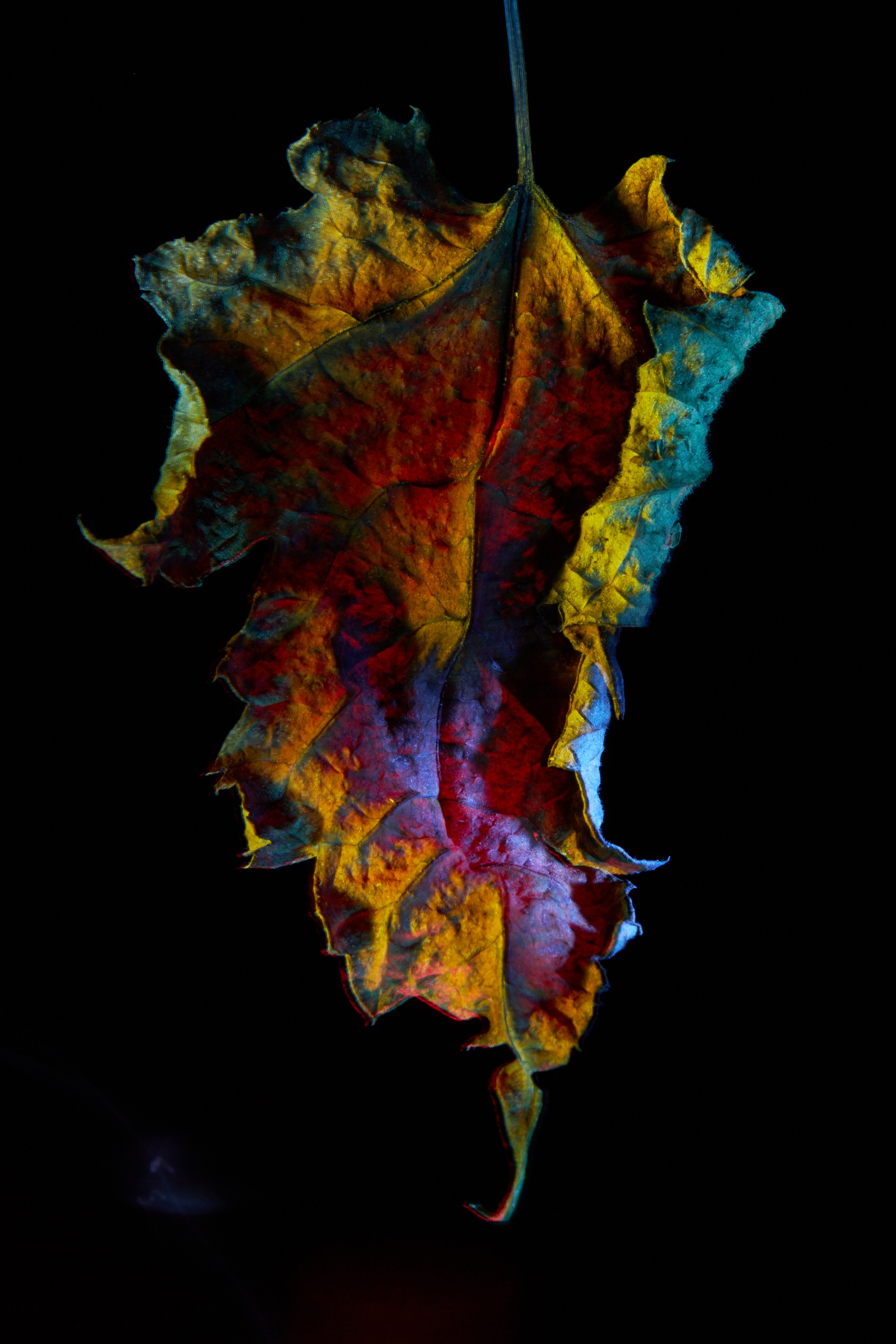 «Красок Тьма Полна». Арт-фотограф во Владивостоке Дмитрий Осипчук