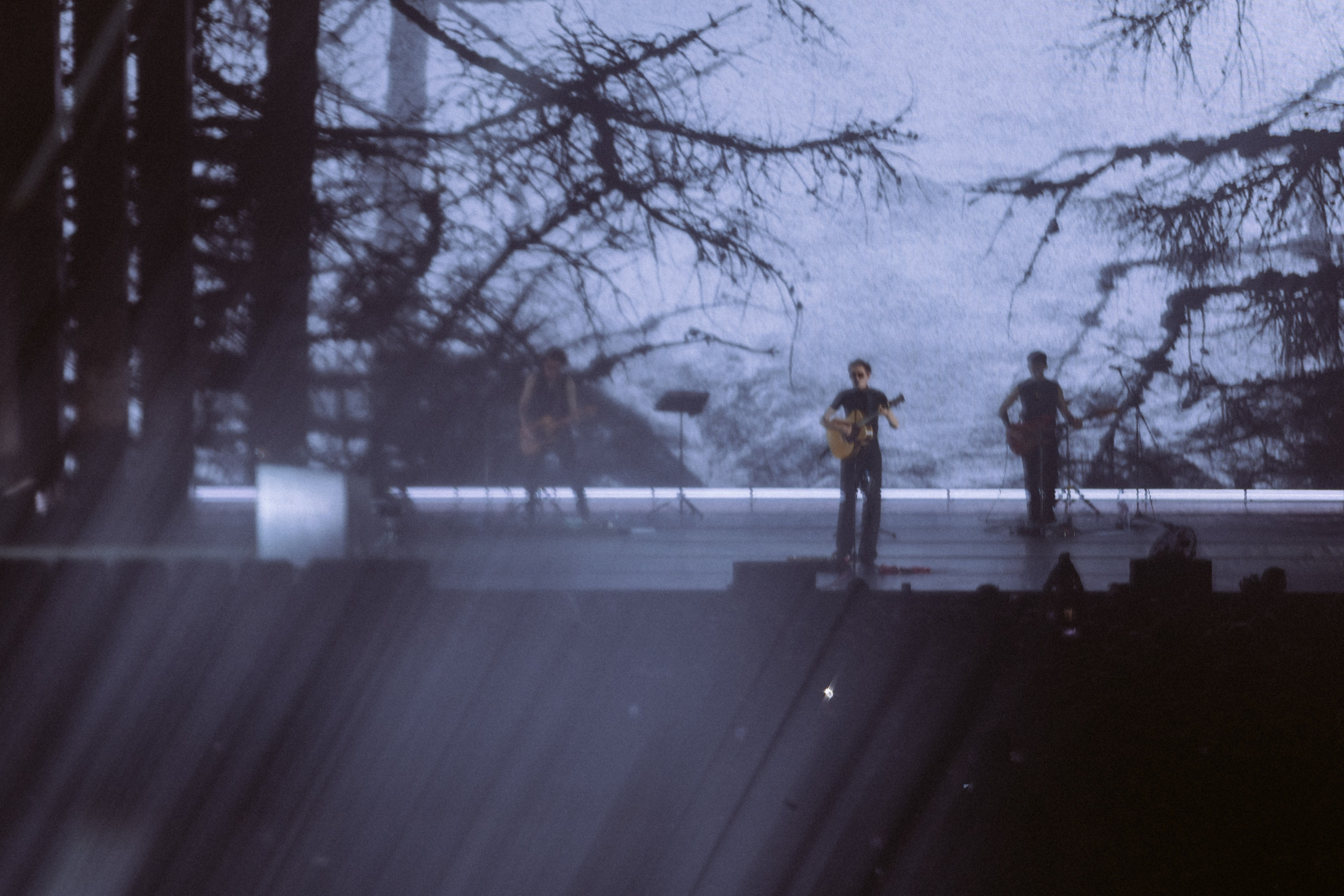 Zoloto в Юбилейном. Фотограф Виктория Дунаевская в Санкт Петербурге