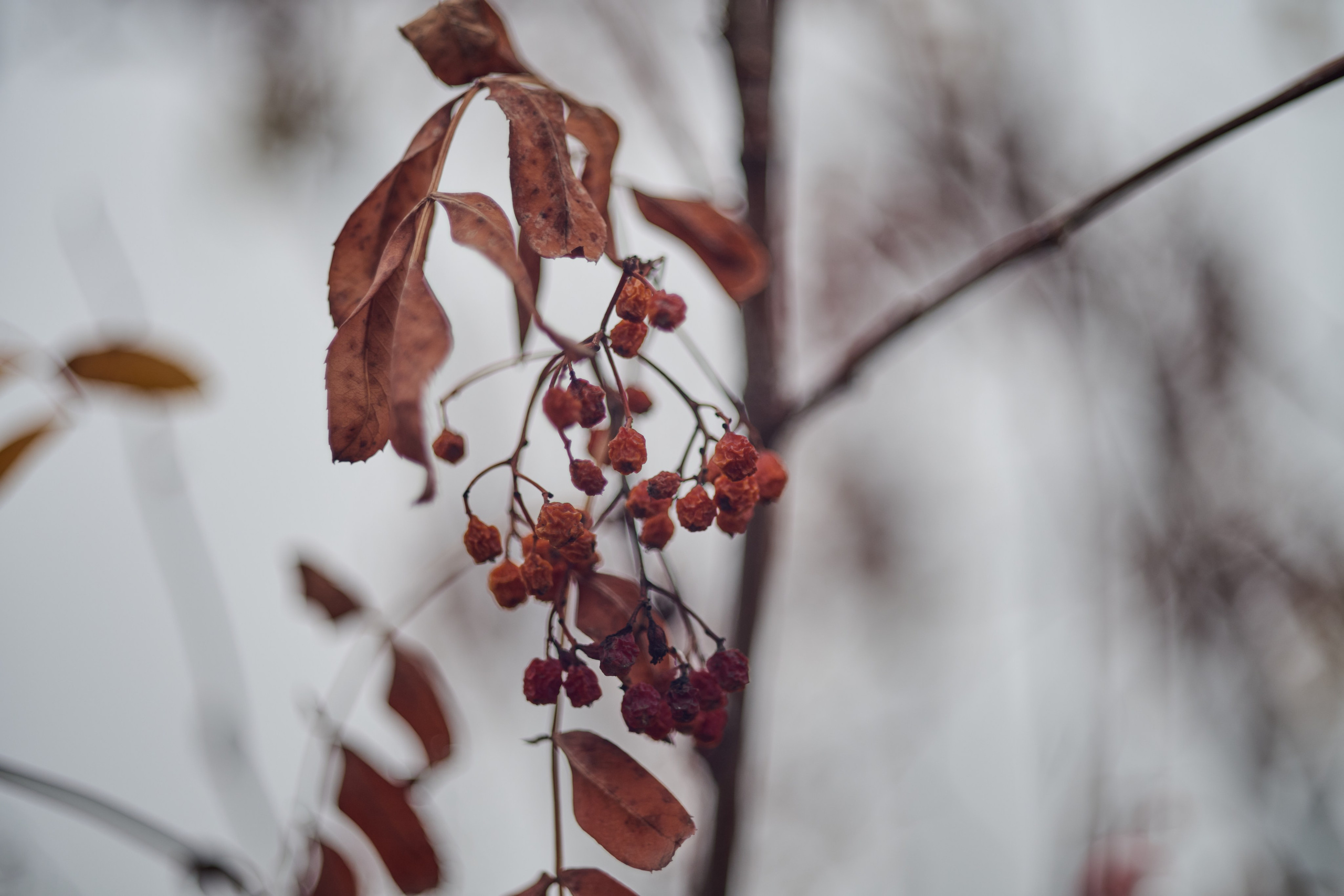 Фото для презентации фотопроекта «Территории». Фотопроект «Территории»