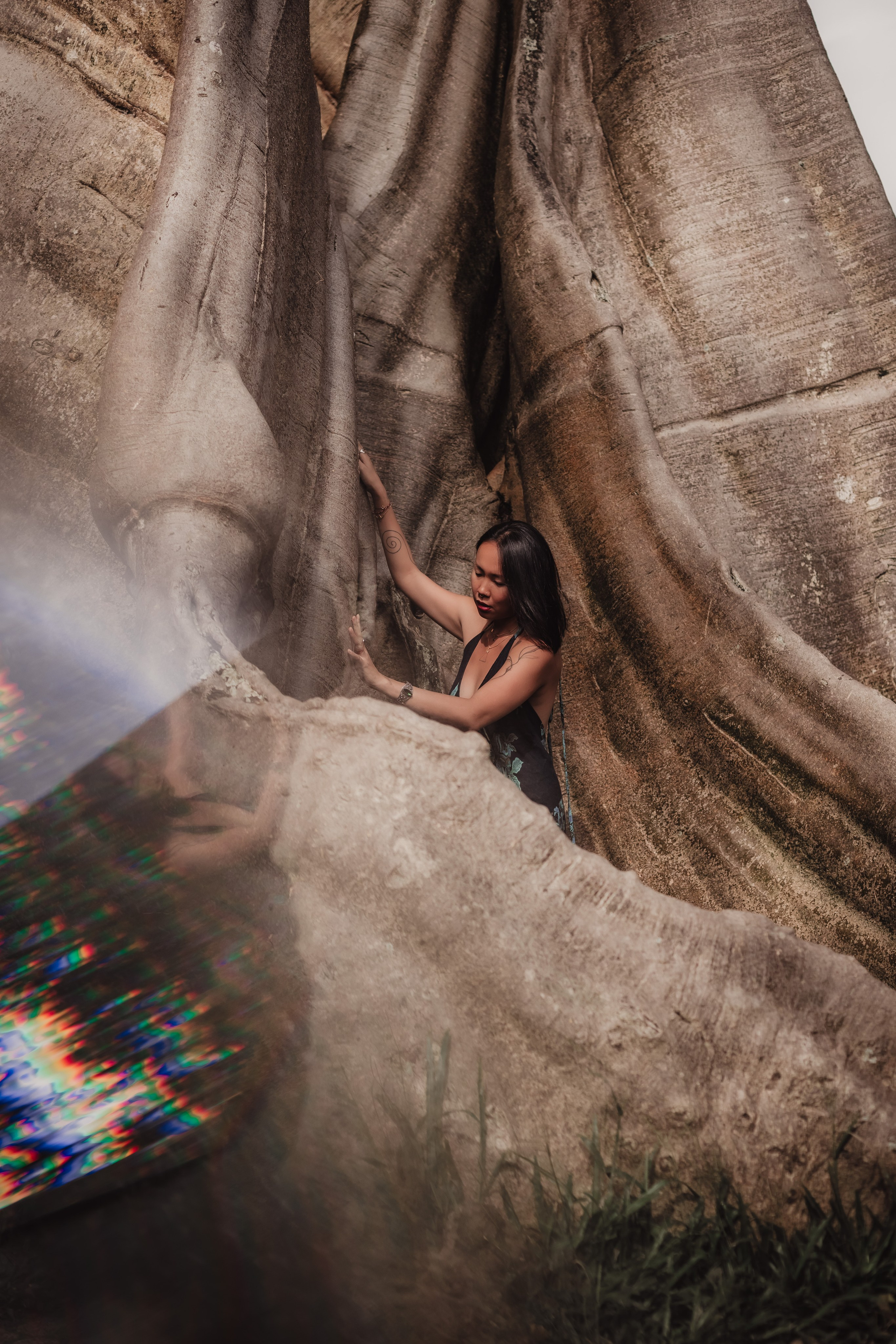 Banyan date. Mariam Bagdasaryan
