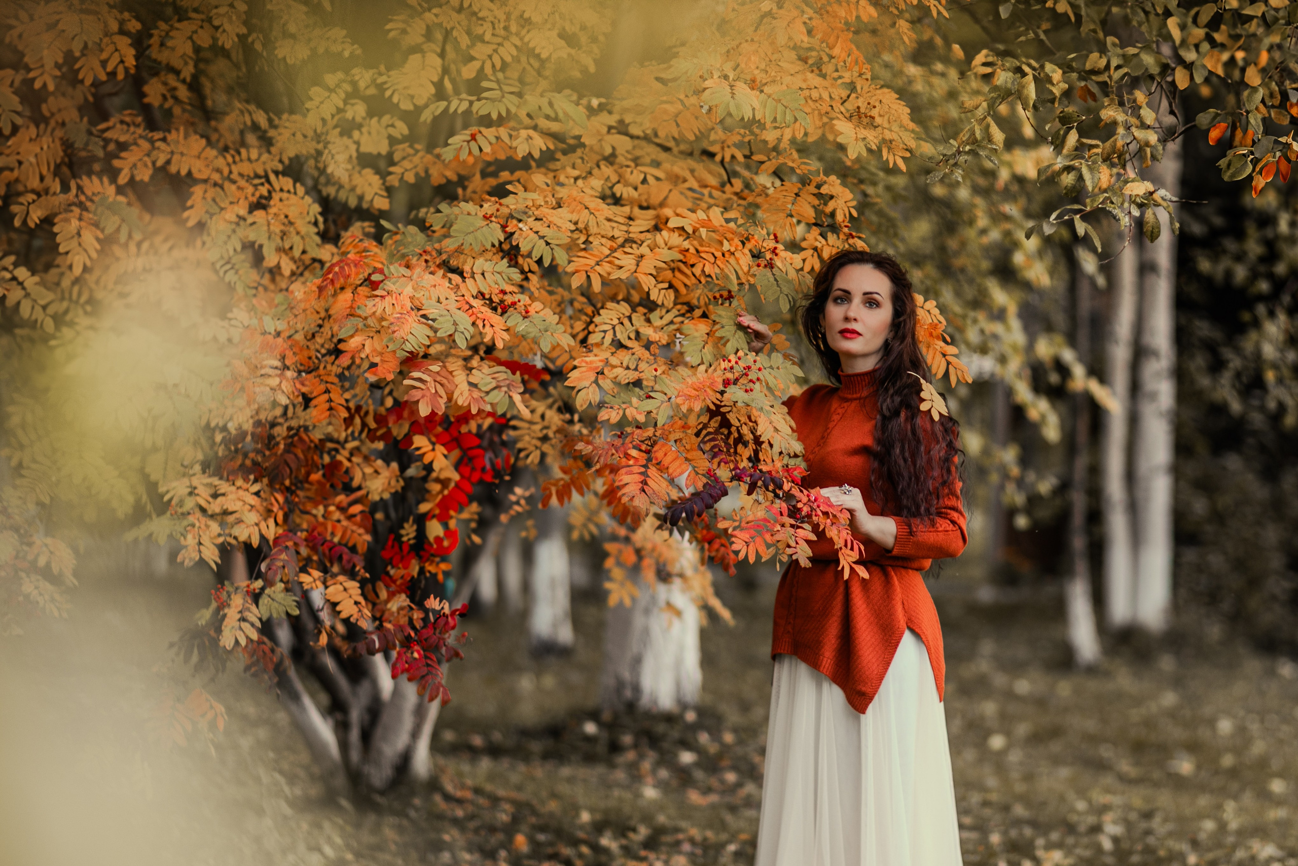 Очарование октября. Фотограф Елена Вишневская (Ушакова) Нефтеюганск, Сургут, Тюмень