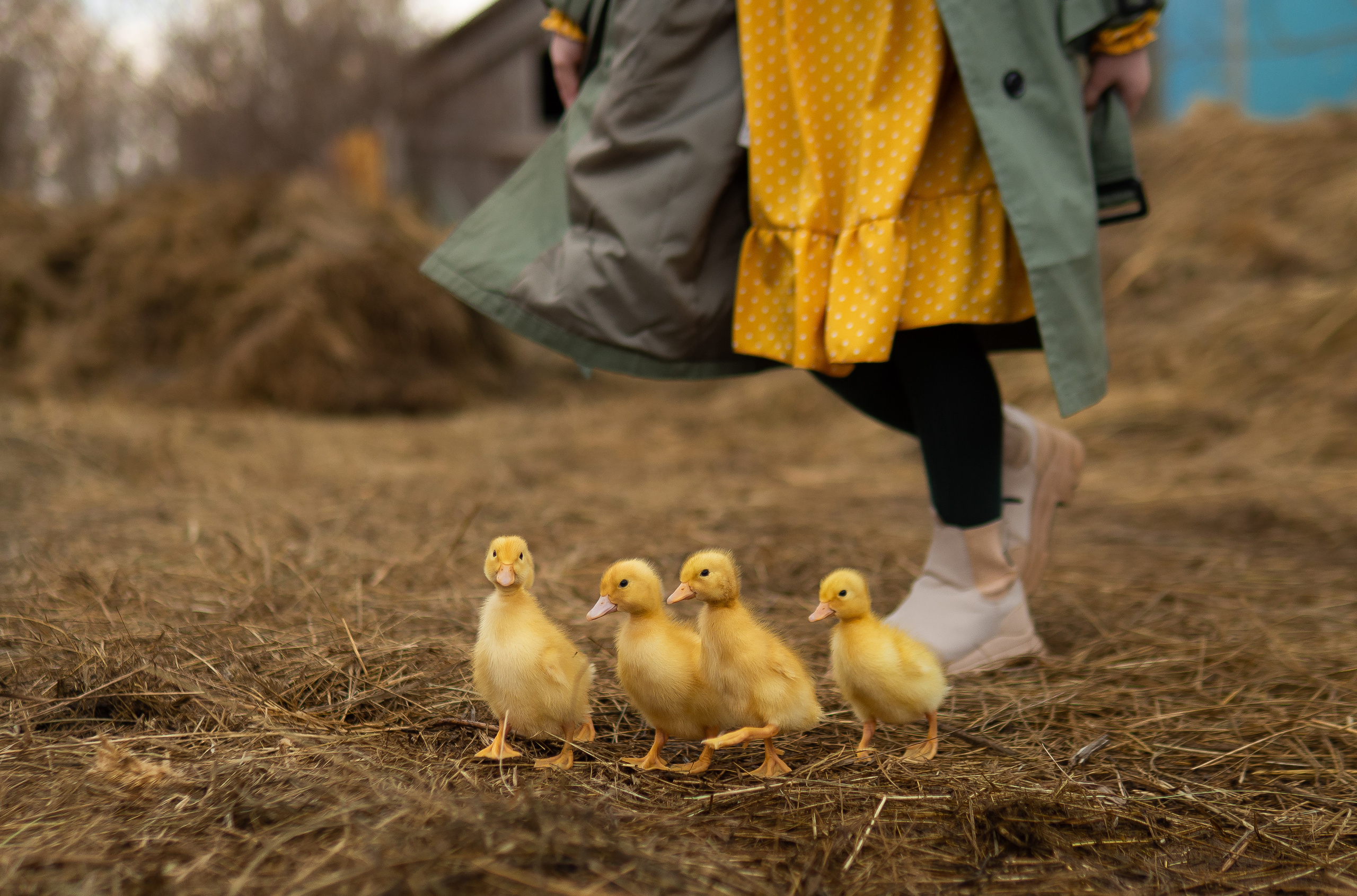 Детские съемки. Универсальный фотограф и видеограф в Самаре