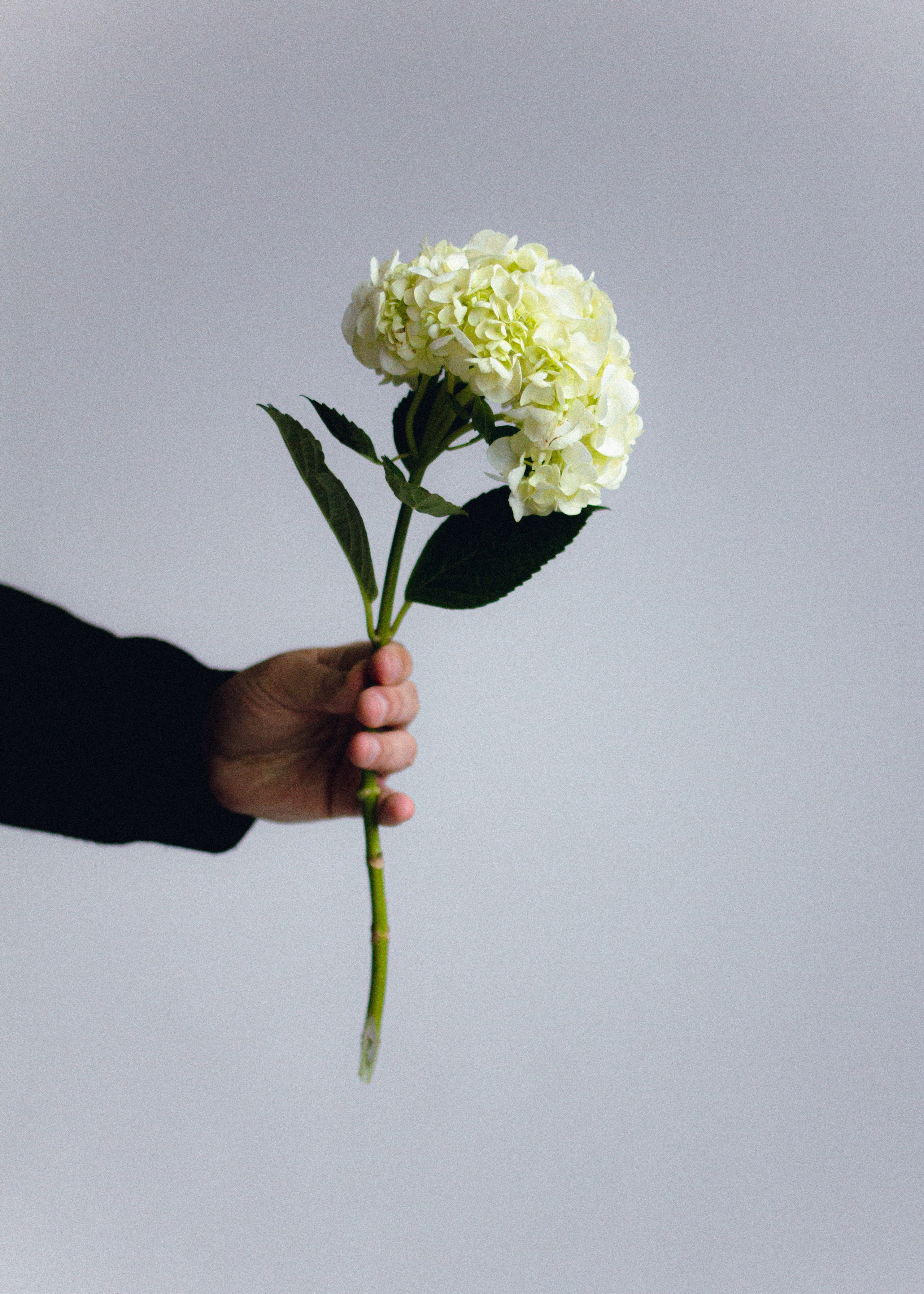 Маша и Мануар. Александра Крашевская. Портретный фотограф в Москве и Санкт-Петербурге