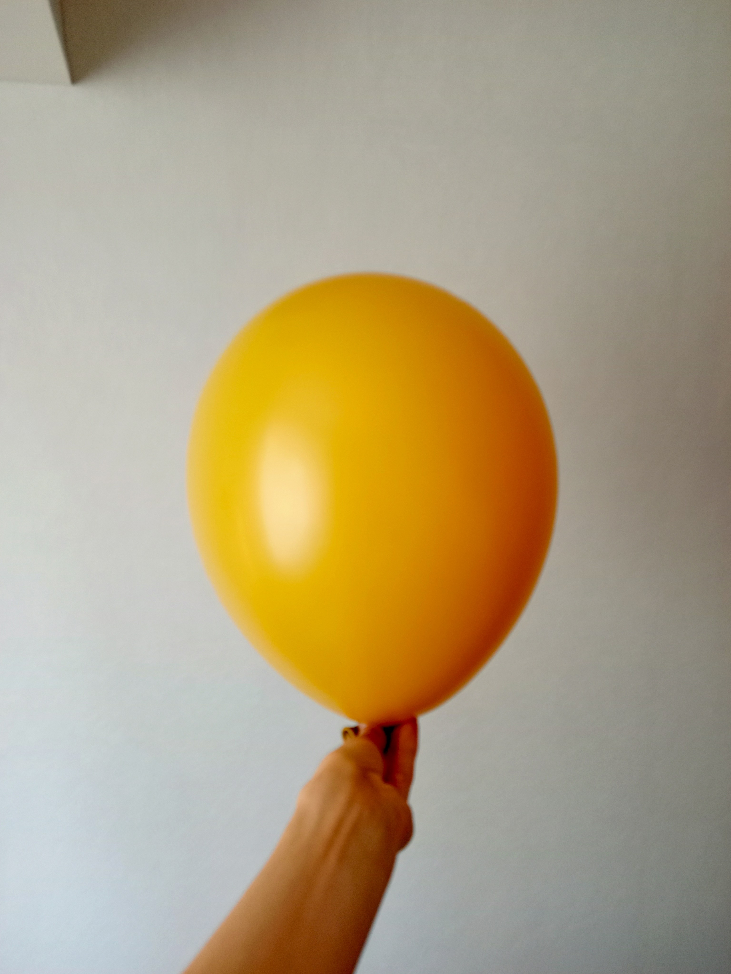 Шары без рисунка латексные. Аэродизайнер Елена Лин