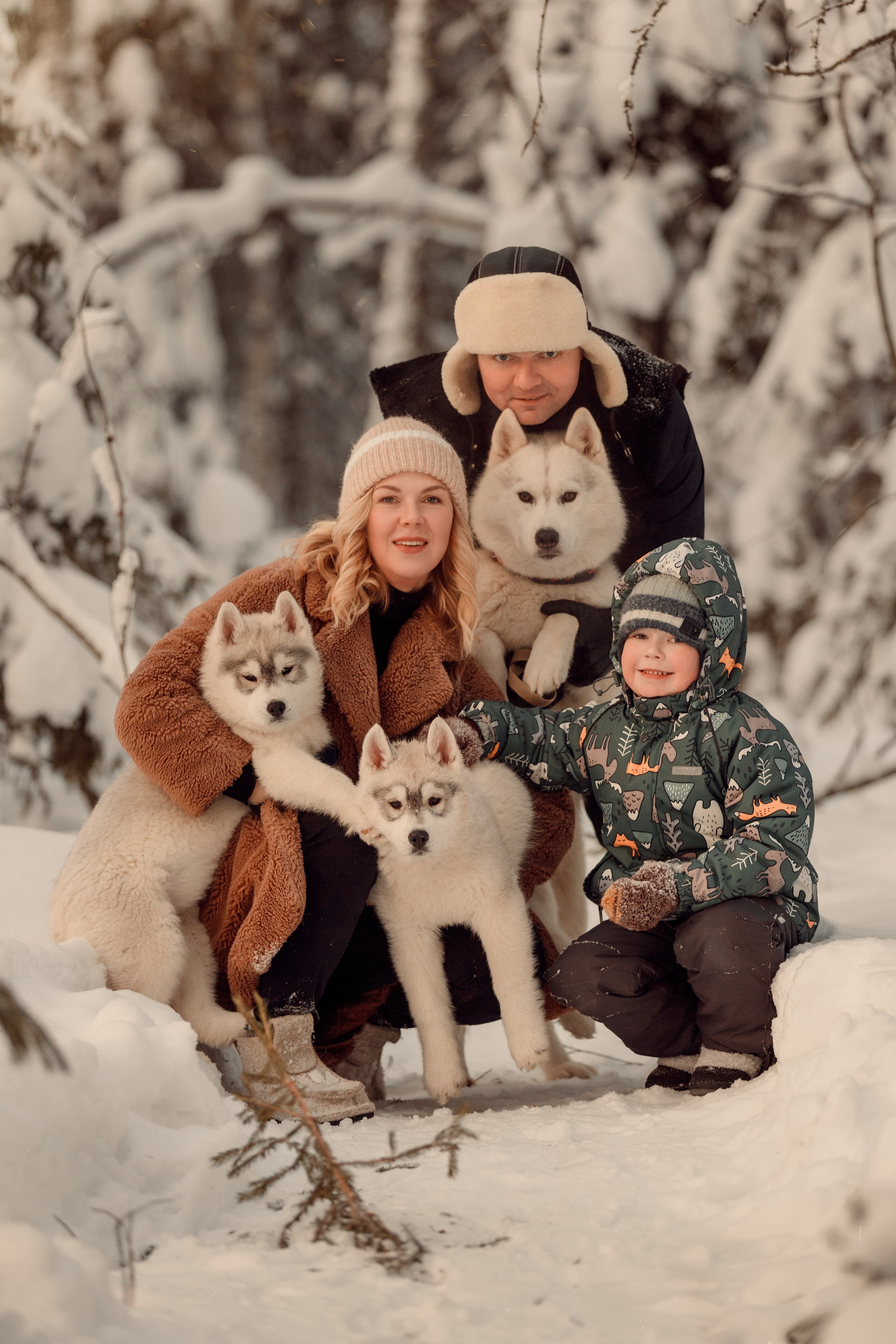 Фотосессии с вашими любимцами. Фотограф Артемьева Катерина|фотосессии с лошадьми