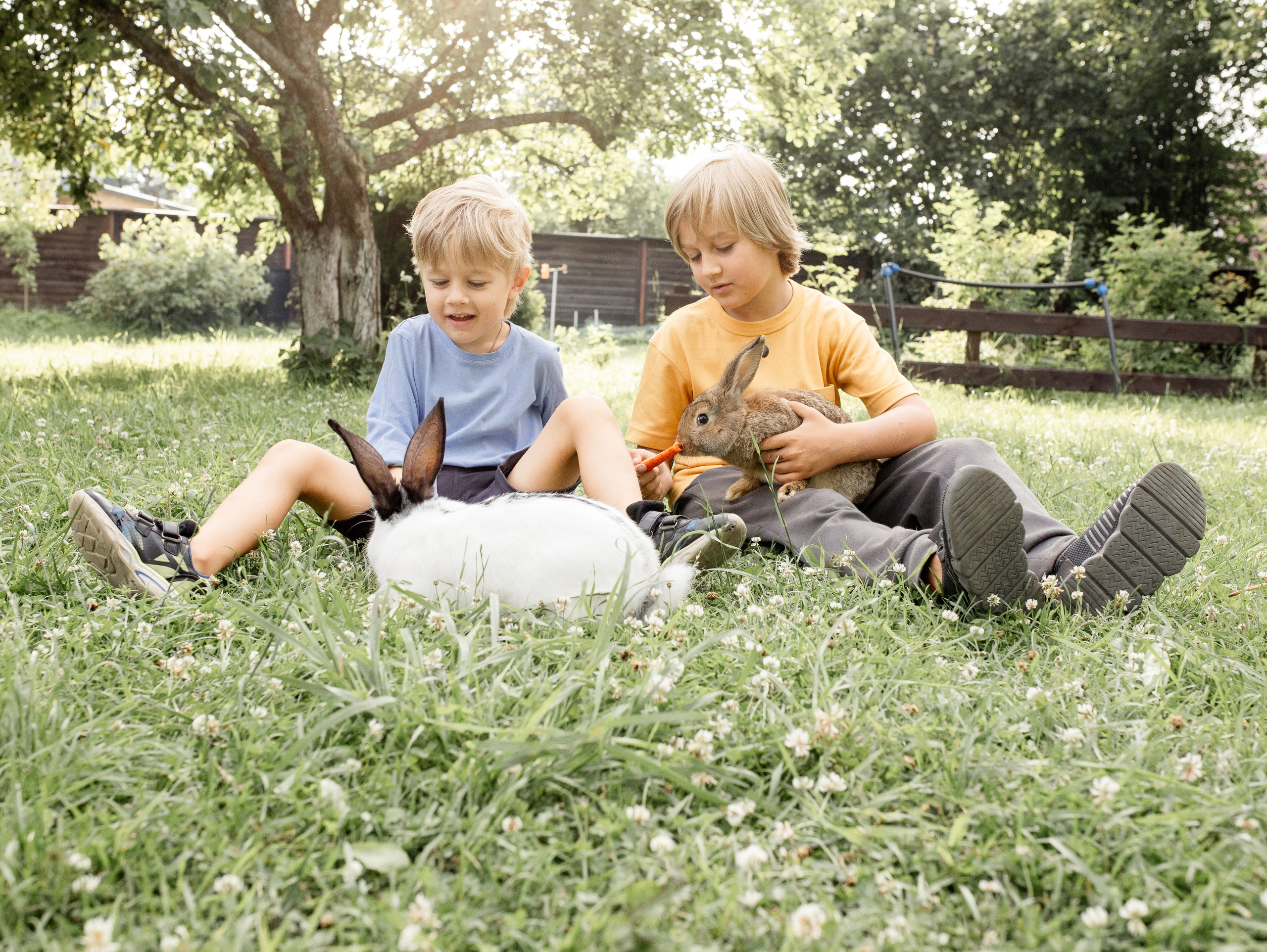 Кролики 2023. Семейный фотограф в Санкт-Петербурге Ирина Иванова