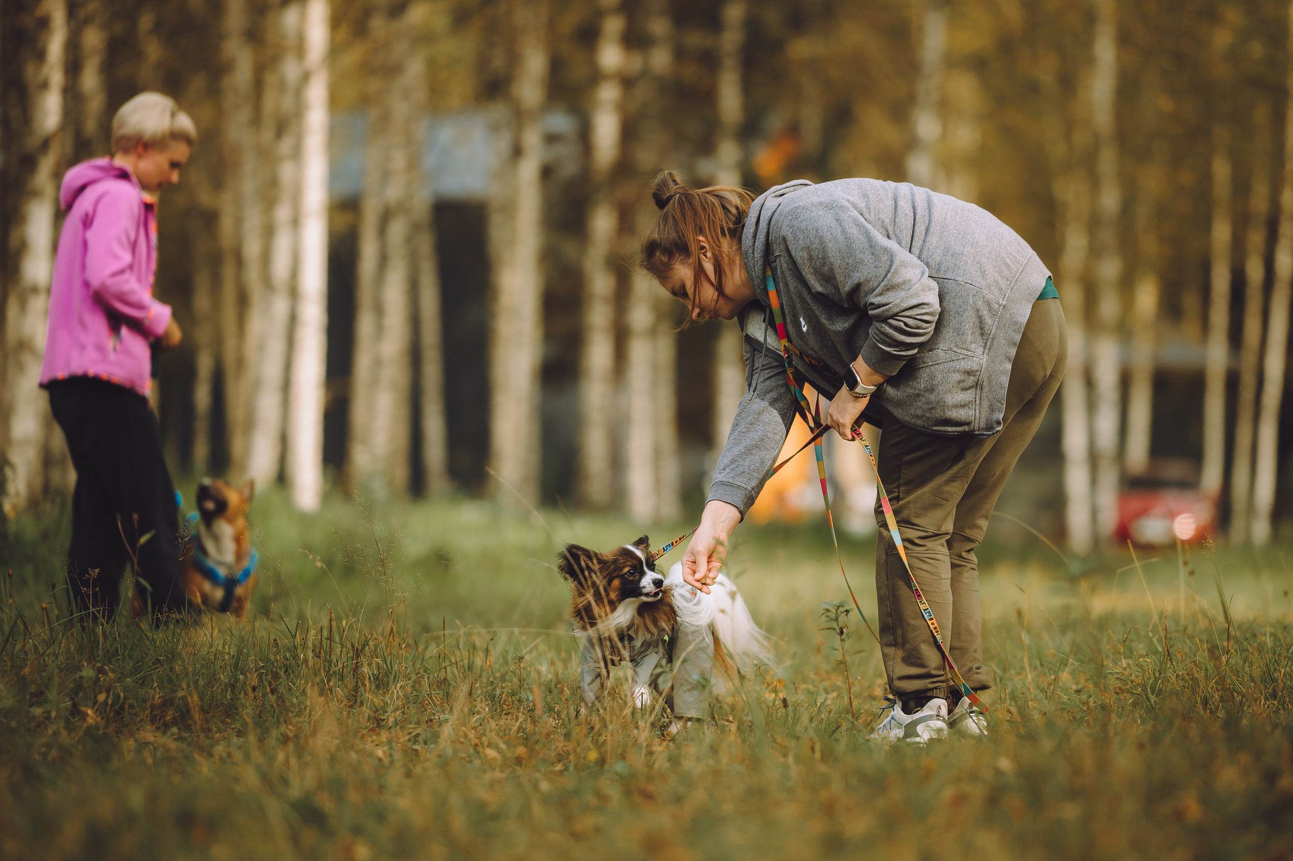 Выездной дог-тренинг от школы «Шерсть имею», Тованово