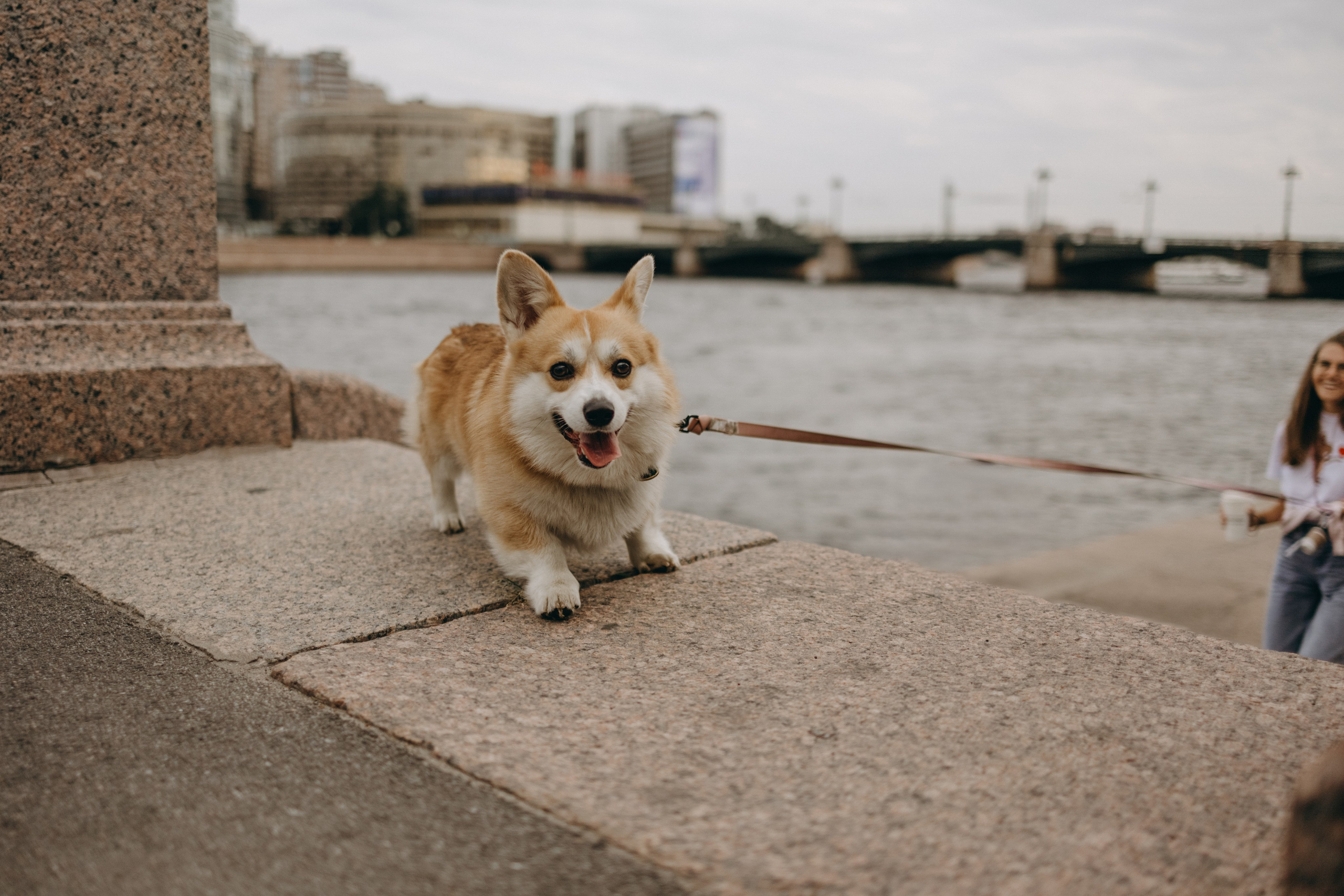 Лиза и Бакс. Фотограф — Анималист | Санкт-Петербург