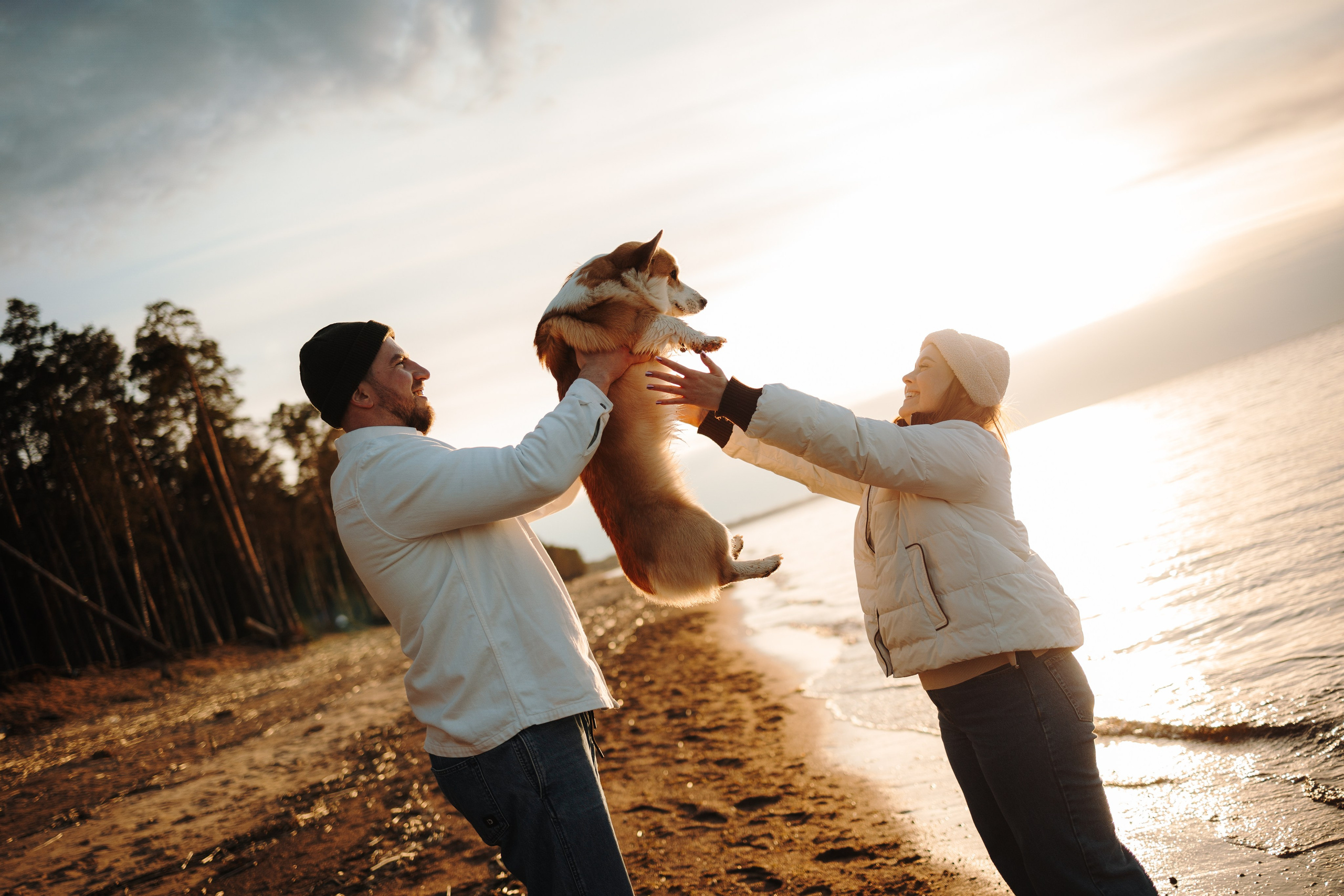 Найт и его семья. Фотограф — Анималист | Санкт-Петербург