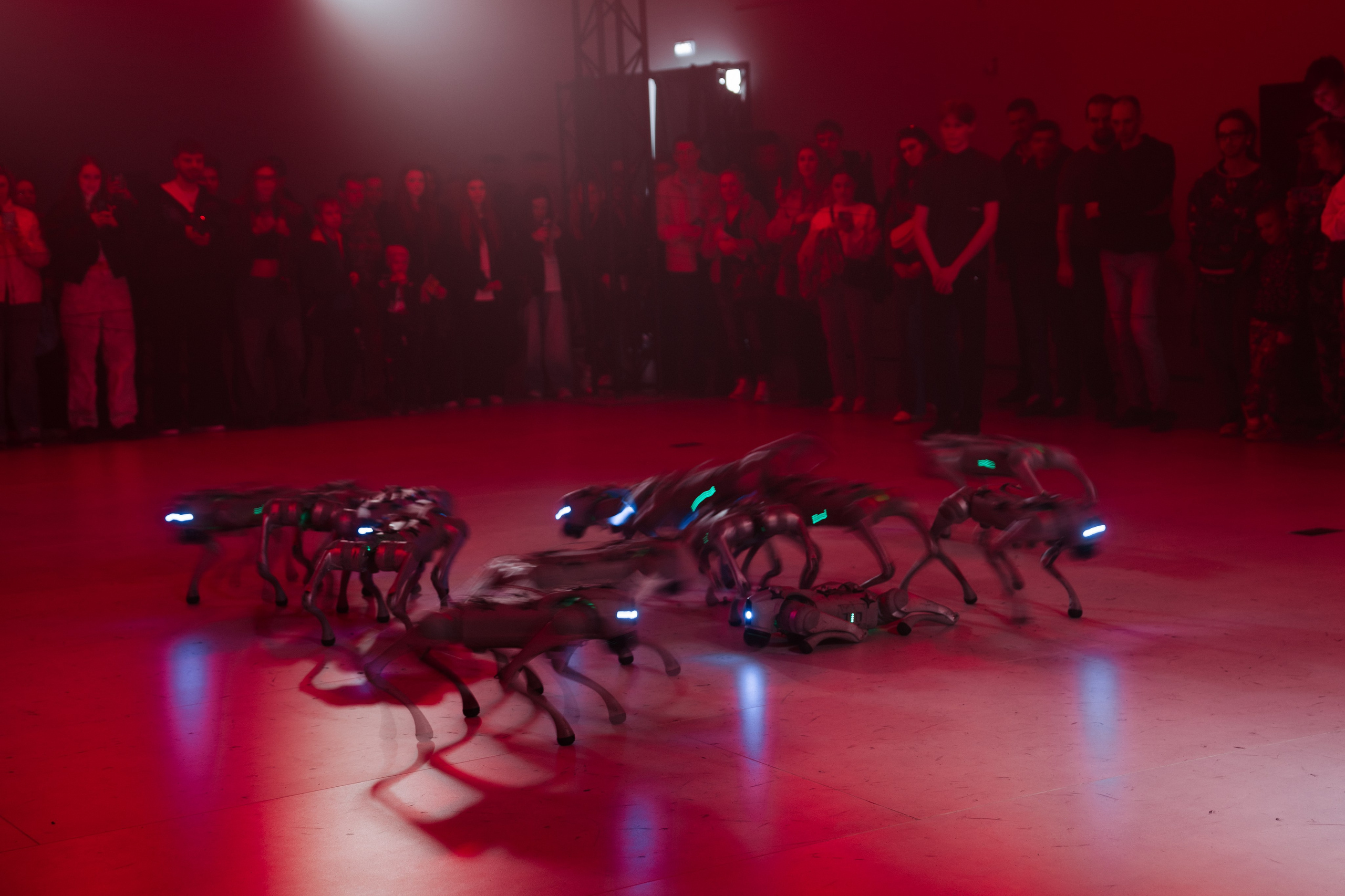 Intervals Festival 2025. @tomrus: Рустам Шагиморданов — фотограф