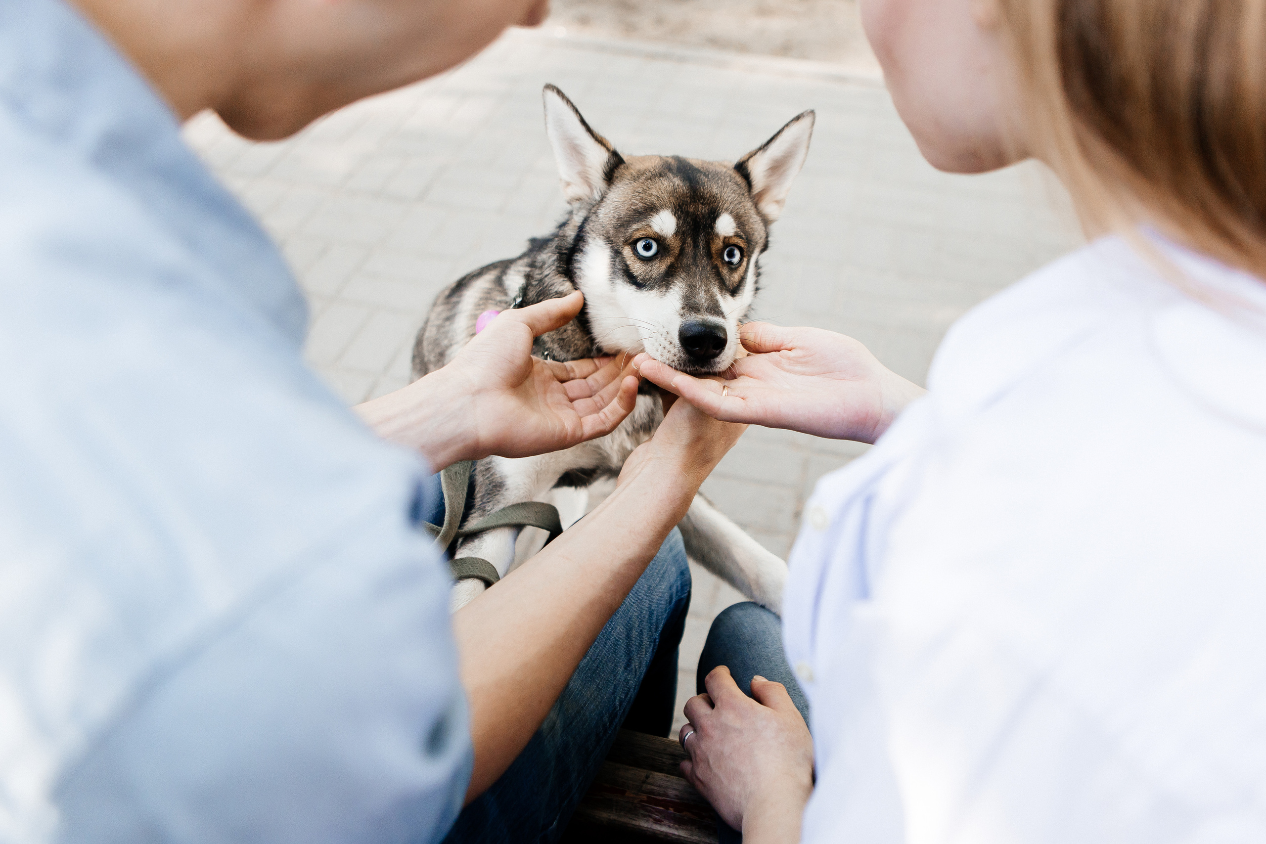 Анастасия и Виталий. Свадебный и семейный фотограф в Ростове-на-Дону