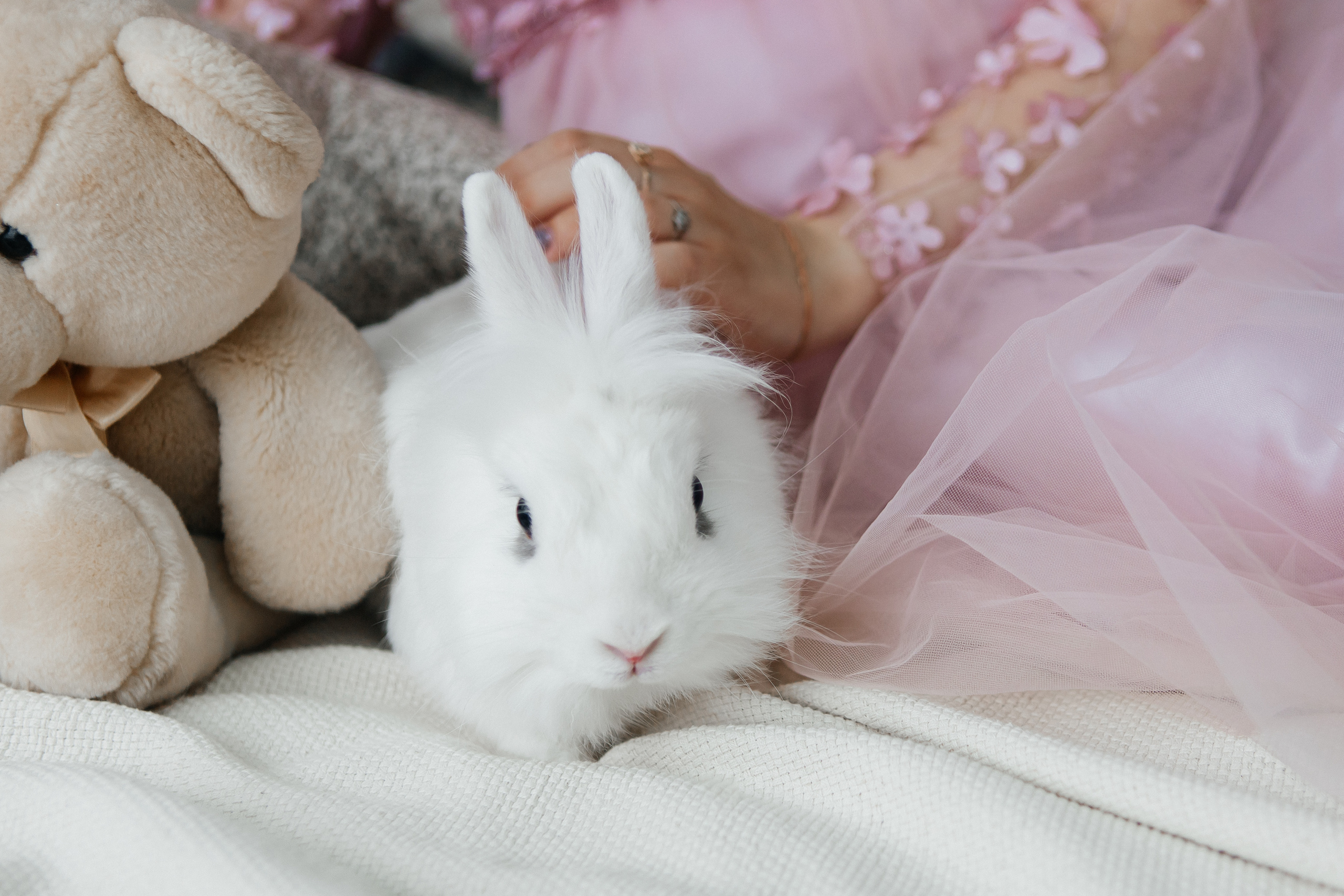 Маргарита. Свадебный и семейный фотограф в Ростове-на-Дону