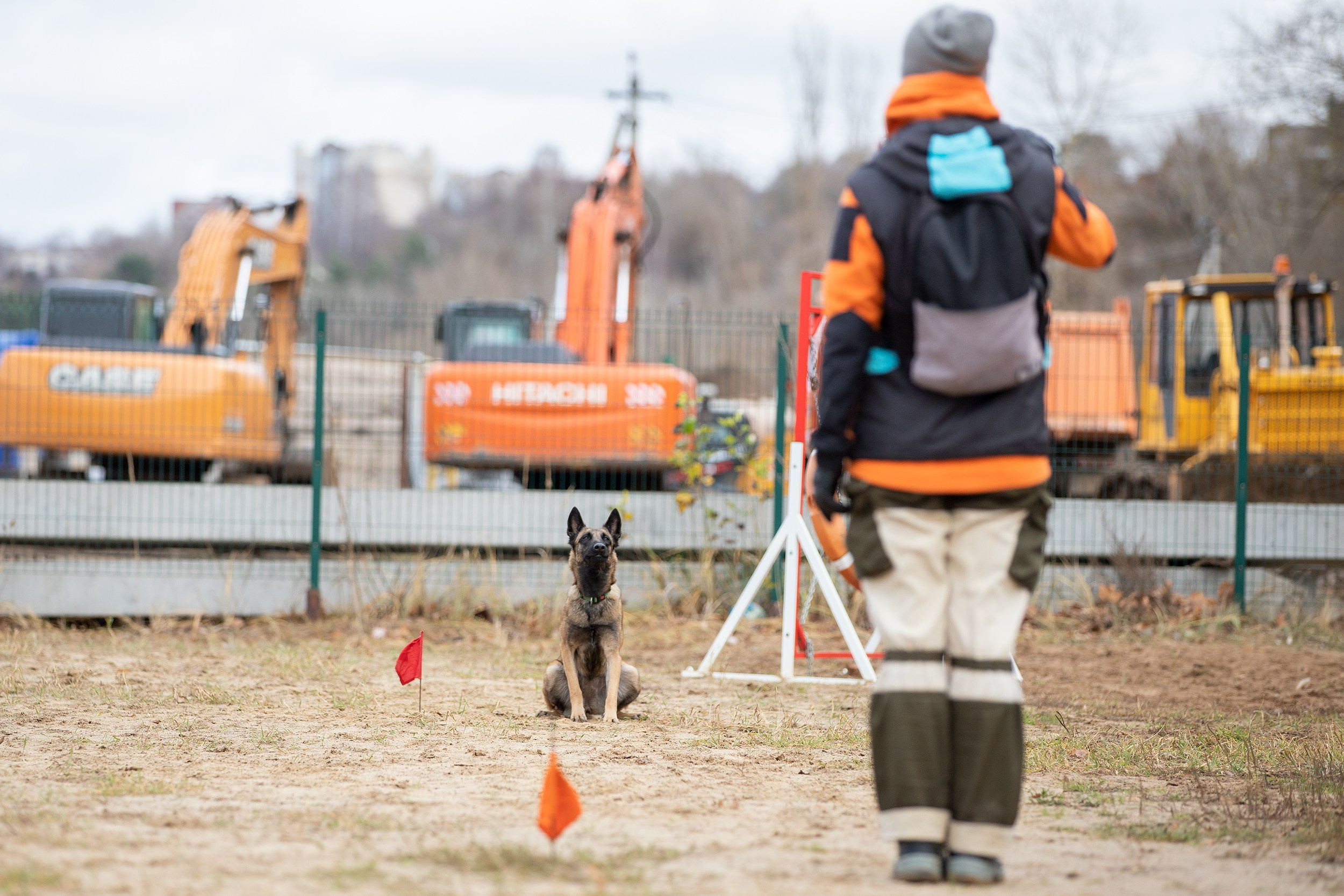 Вера и Чейз на экзамене ОКД. Фотограф-анималист в Калуге Мария Шерскова