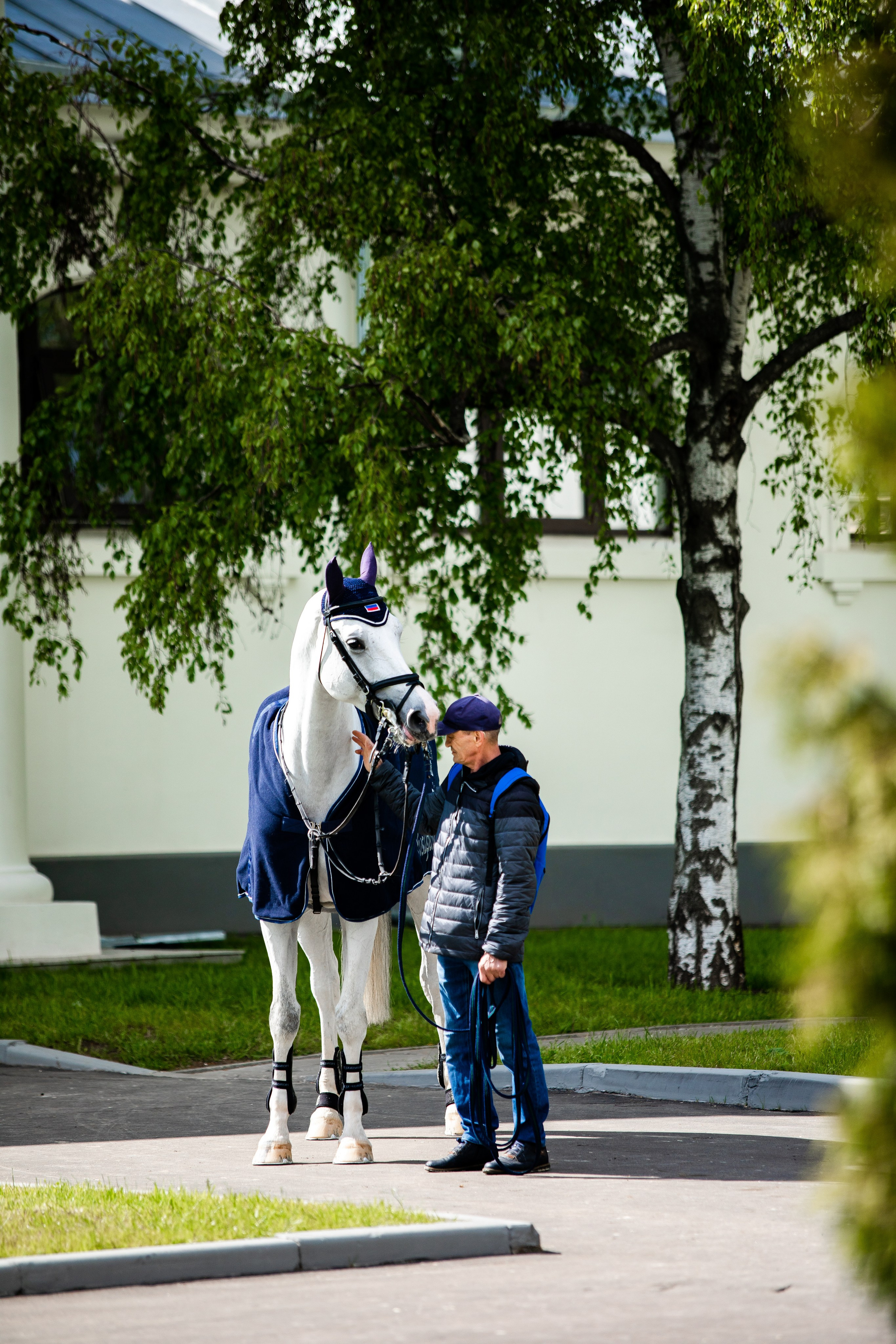 Турниры. Veronika Makeeva horse photo