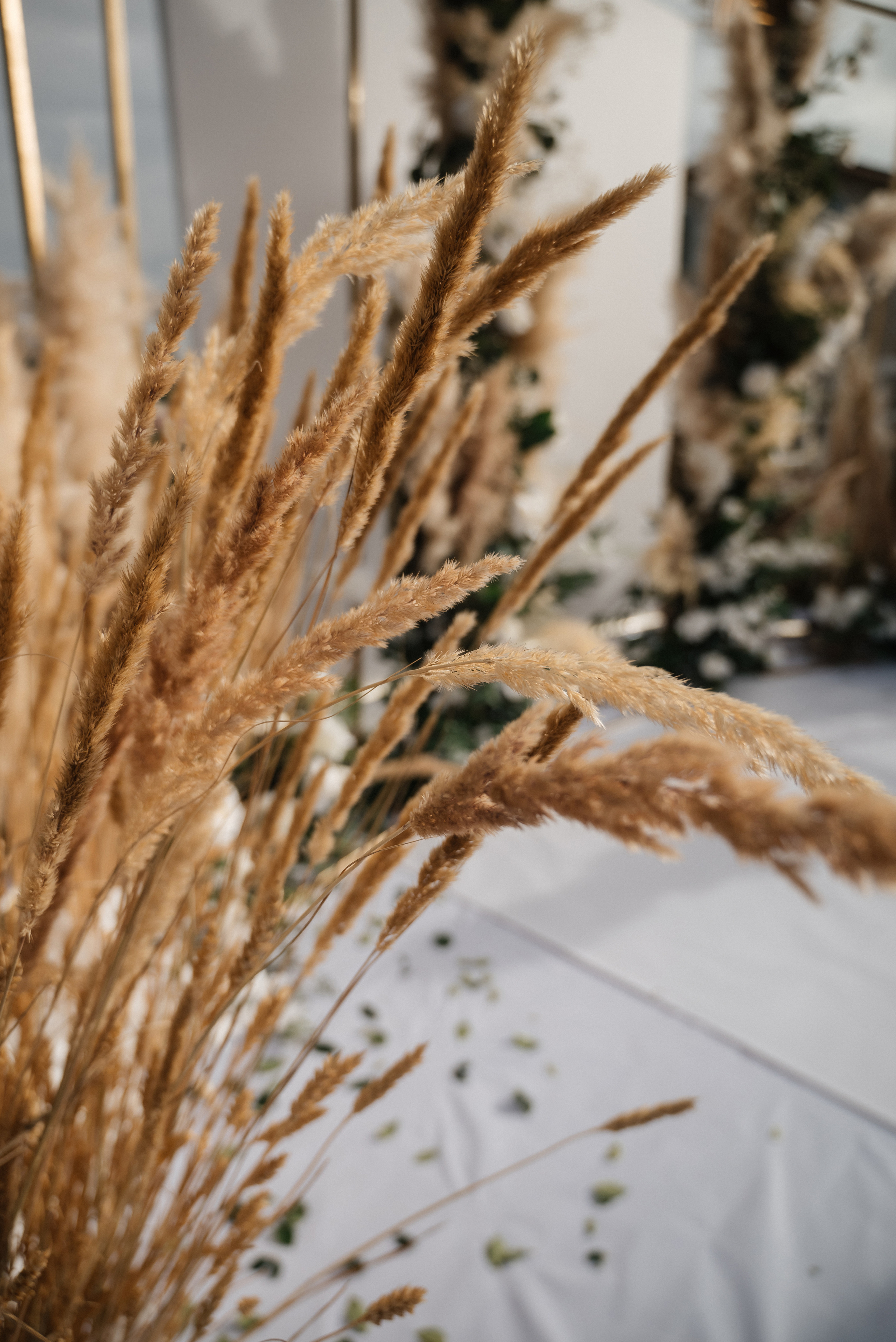 Полина и Данил (полный день в Кузнечной). Свадебный и портретный фотограф в Липецке Юлия Свит