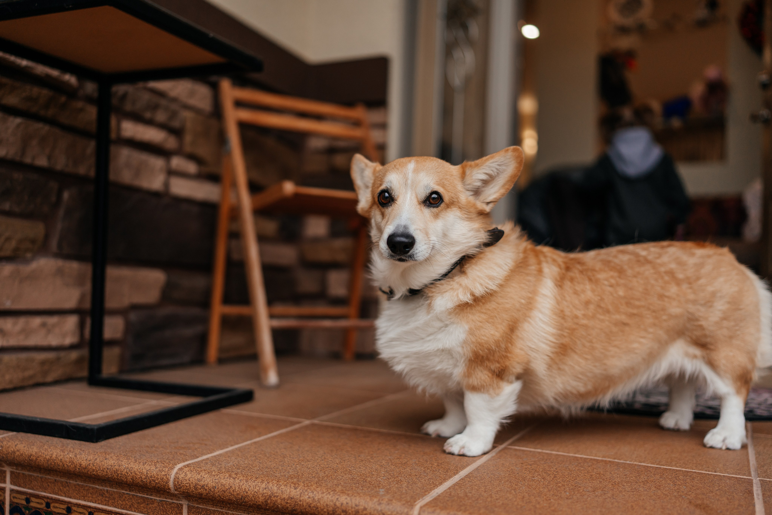 Семья — когда мы обнимаемся ❤️. Семейный фотограф в Москве Ирина Жур