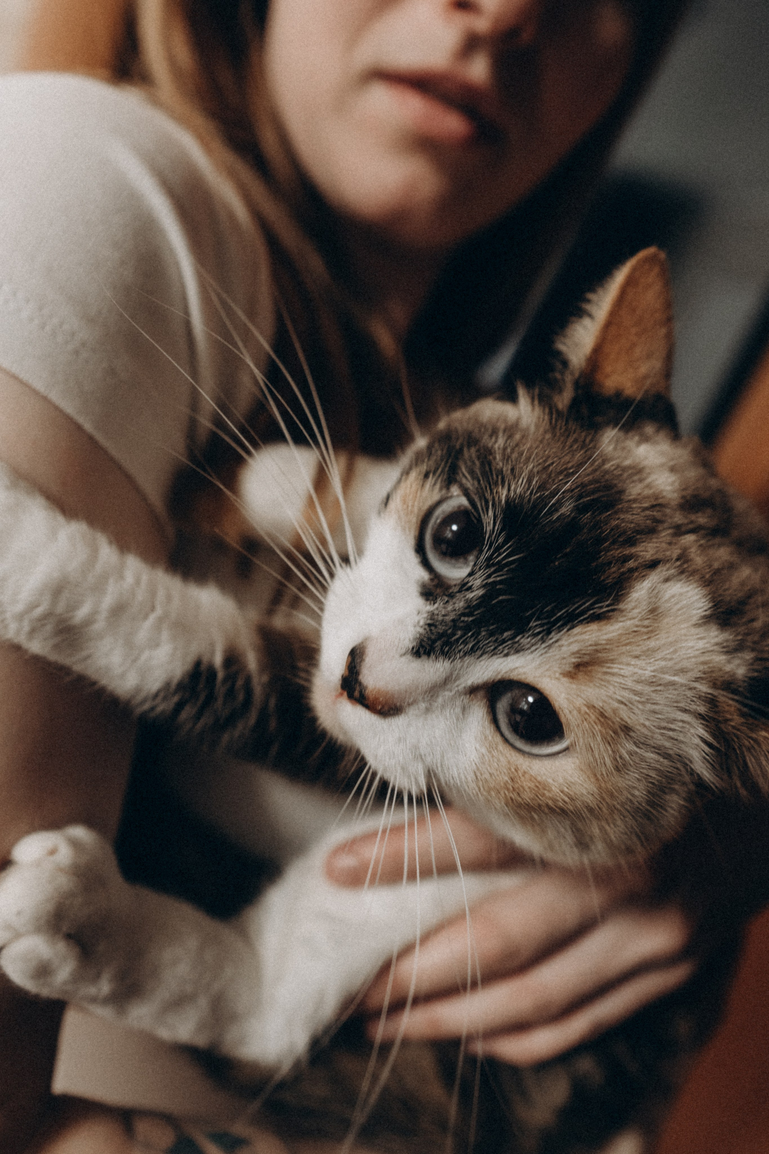 Вика&Даня. Фотограф и видеограф в Тюмени Екатерина Чернецкая