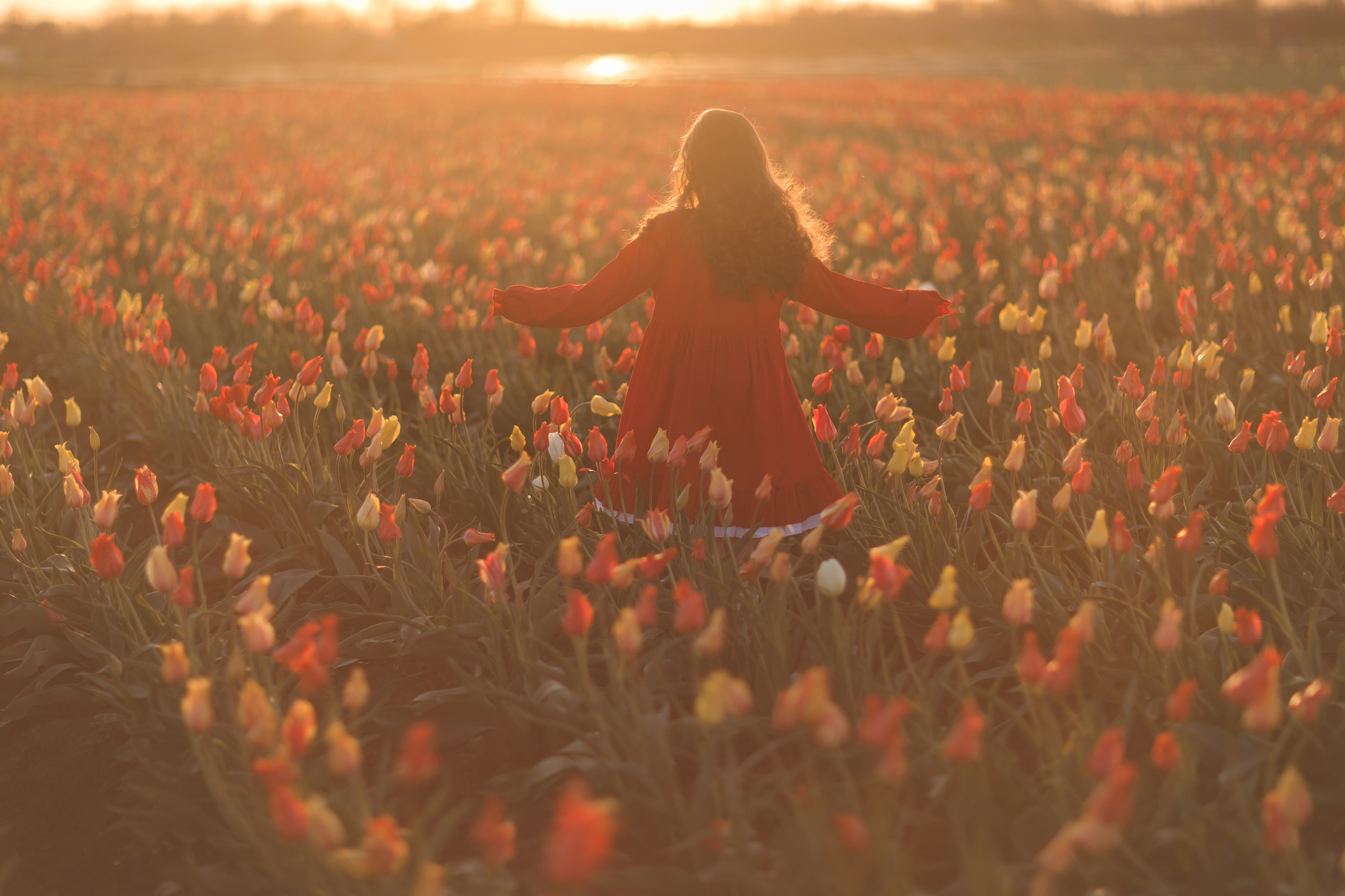 Тюльпаны. Семейный и детский фотограф Краснодар Валерия Власенко