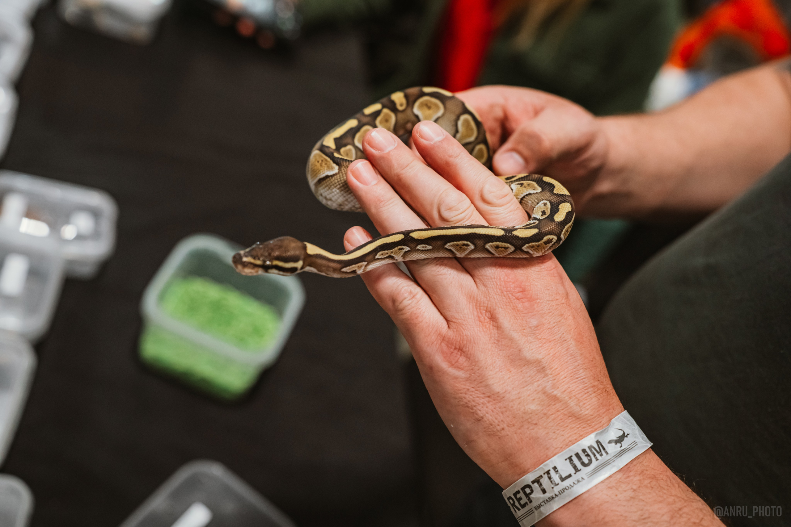 Рептилиум. Репортажный фотограф Анастасия Рубцова