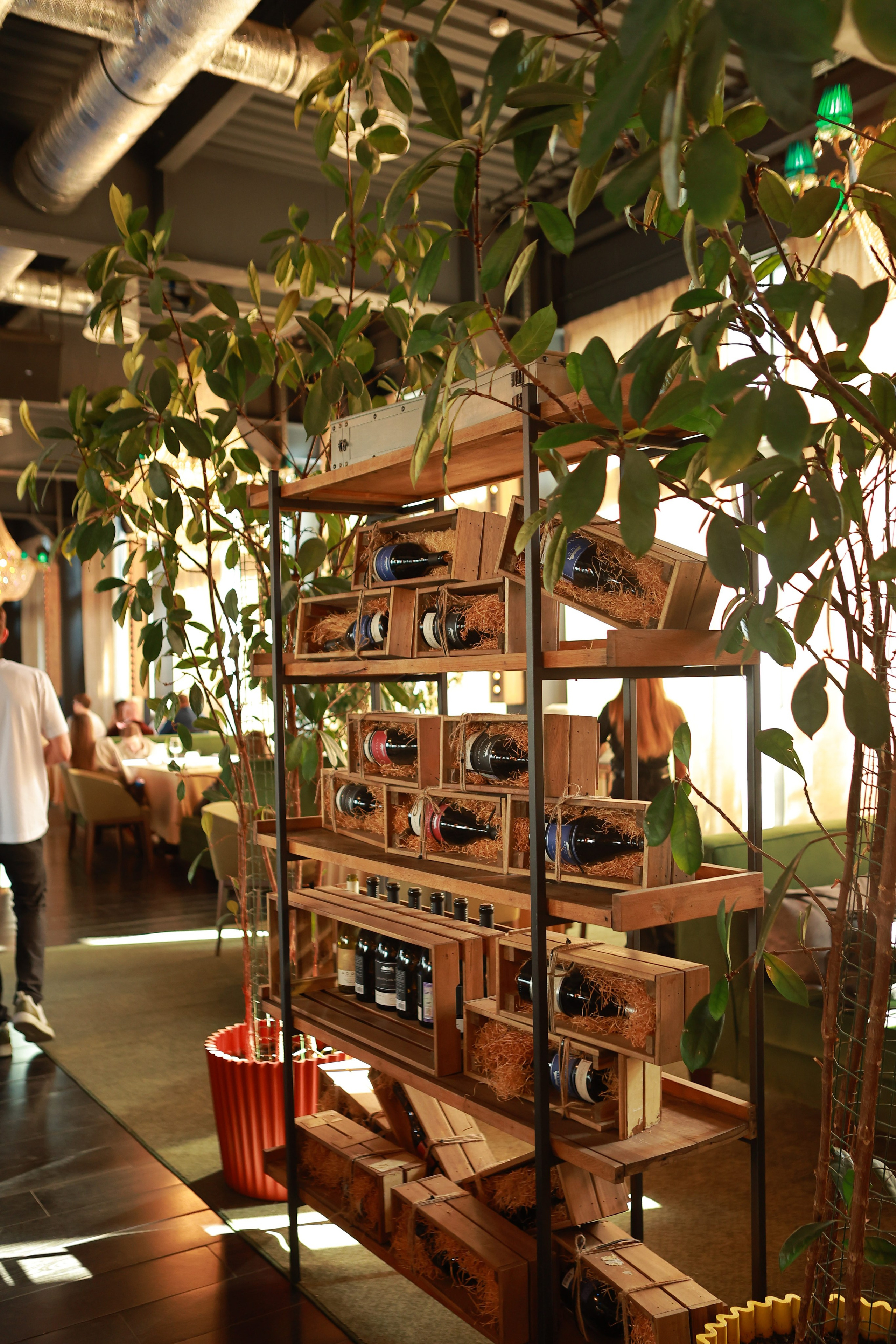 Enigma Rosta. Фотограф в Москве