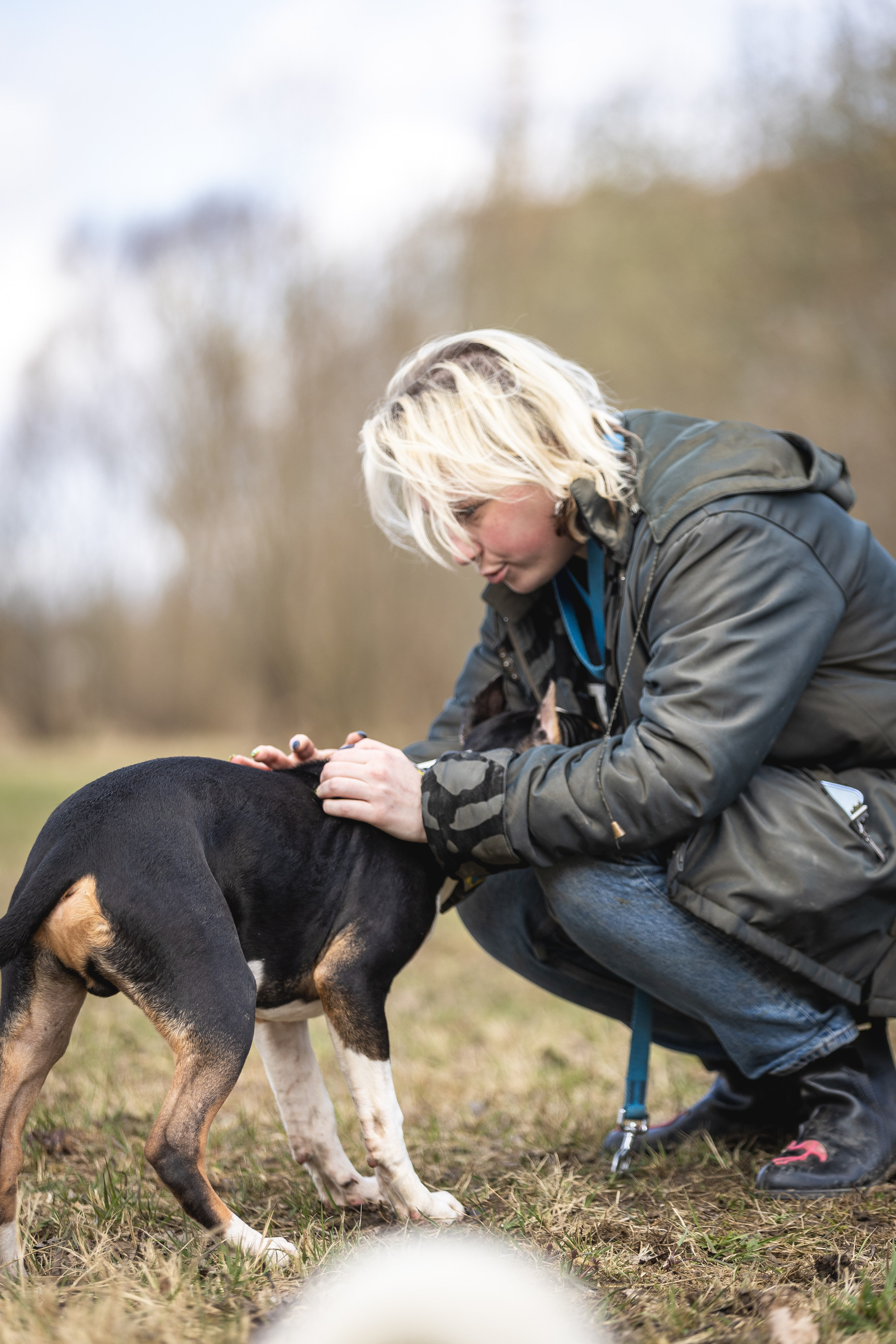Догтуса 24.03.2024. Ирина Голомб|Фотограф-анималист в  Сочи и Калининграде