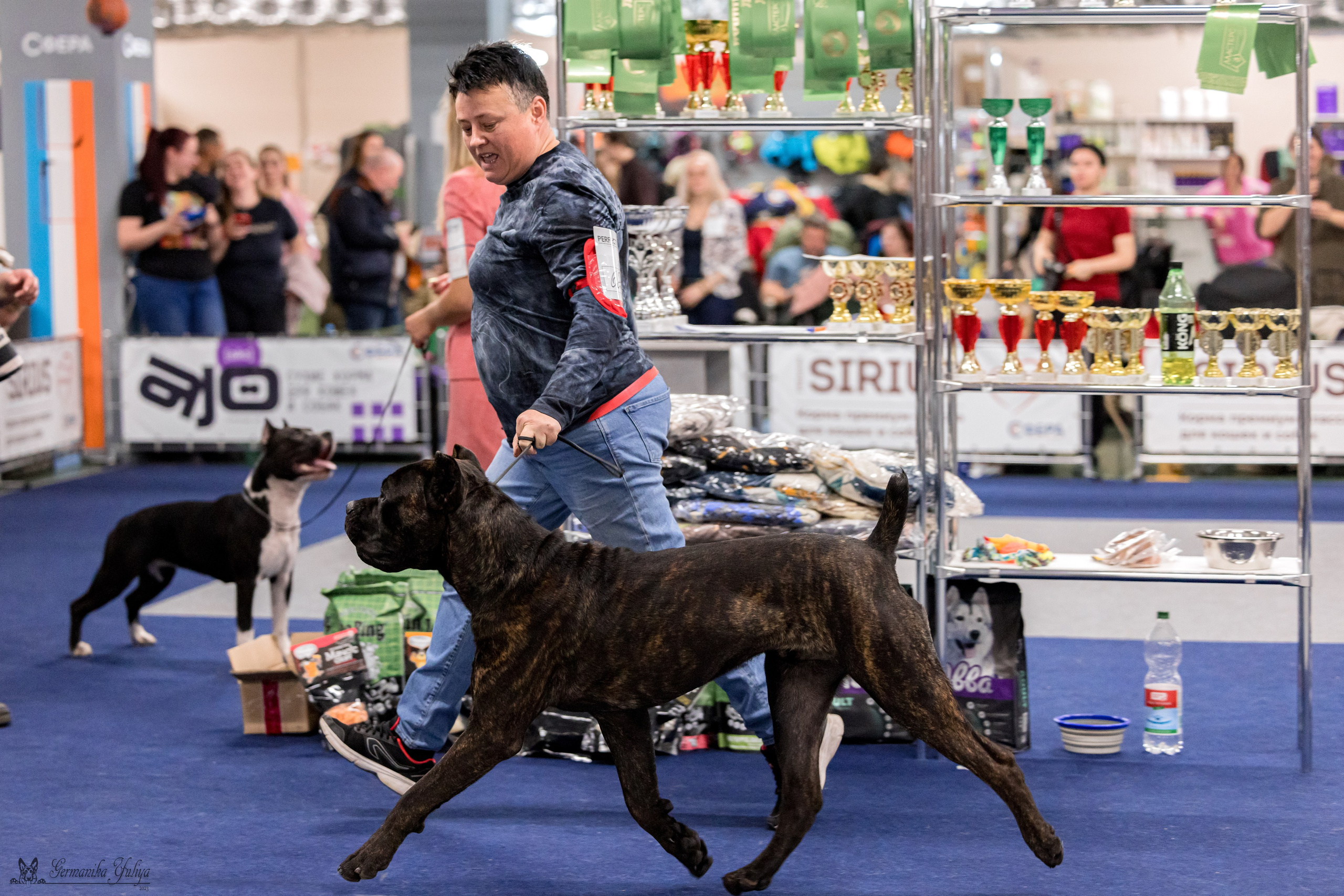 Сфера 29.10,Крокус 4.11,Сфера 12.11.2023. Фотограф-анималист Юлия Германика