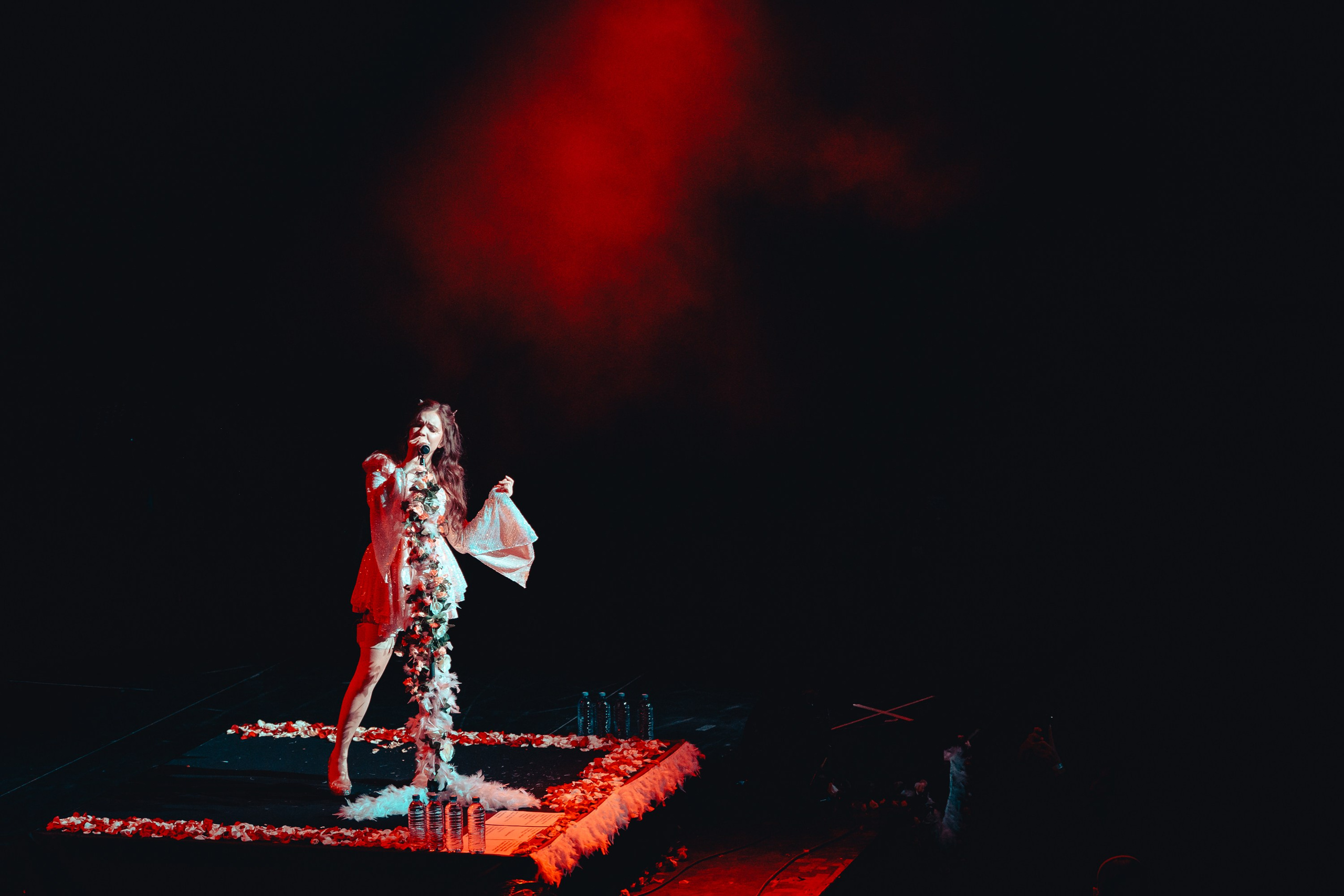 Алена Швец. Магия музыки в кадре: Концертная Фотография