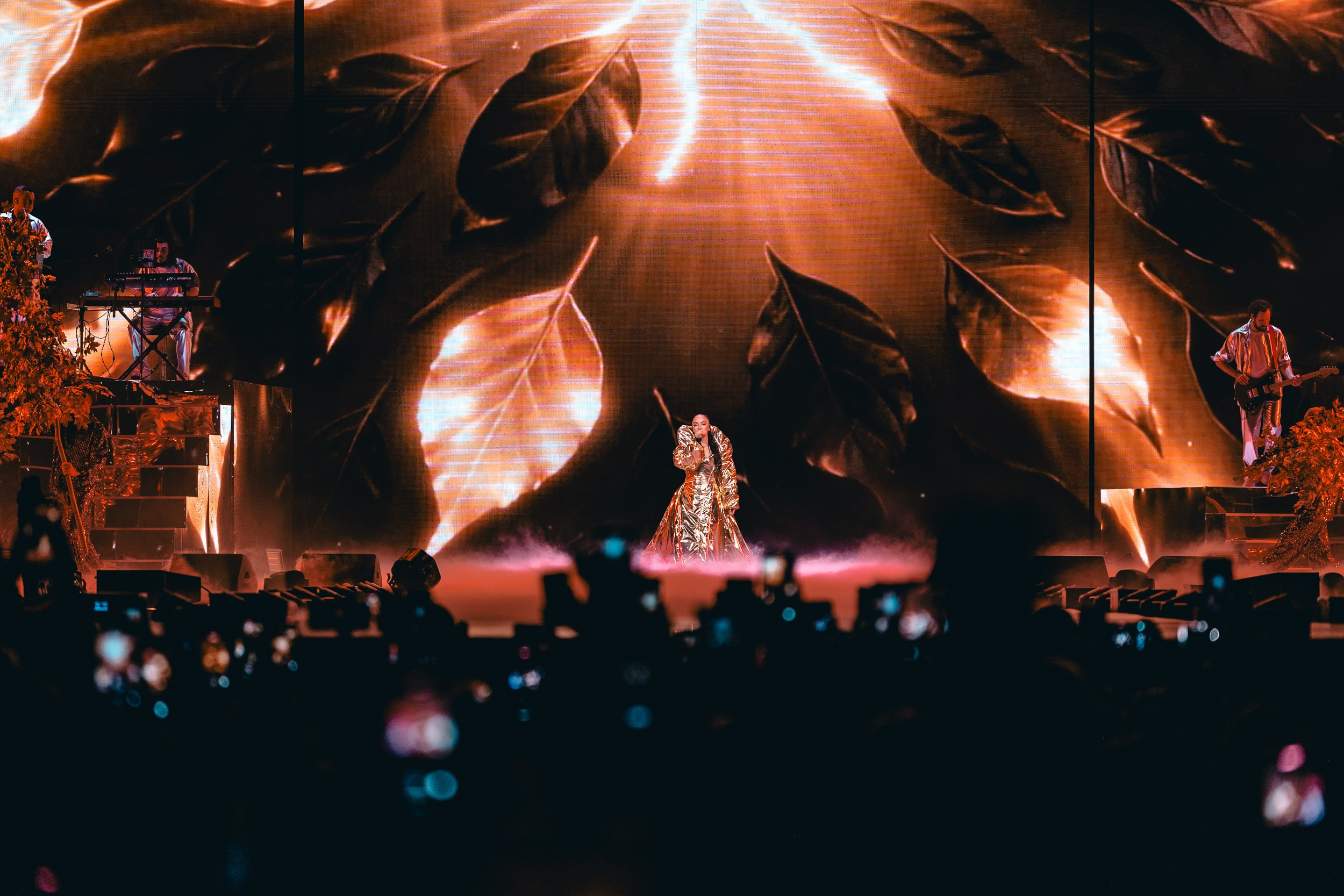 Мари Краймбрери. Магия музыки в кадре: Концертная Фотография