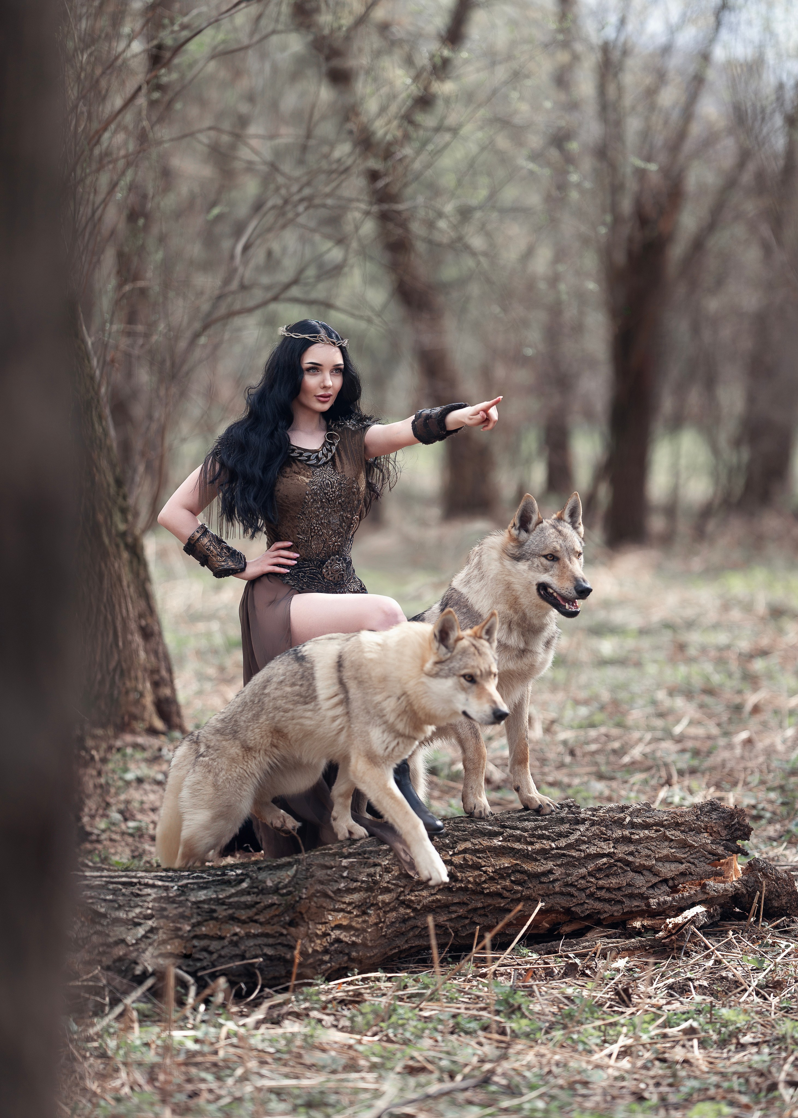 Волки. Профессиональный фотограф в Москве Марина Григорьева
