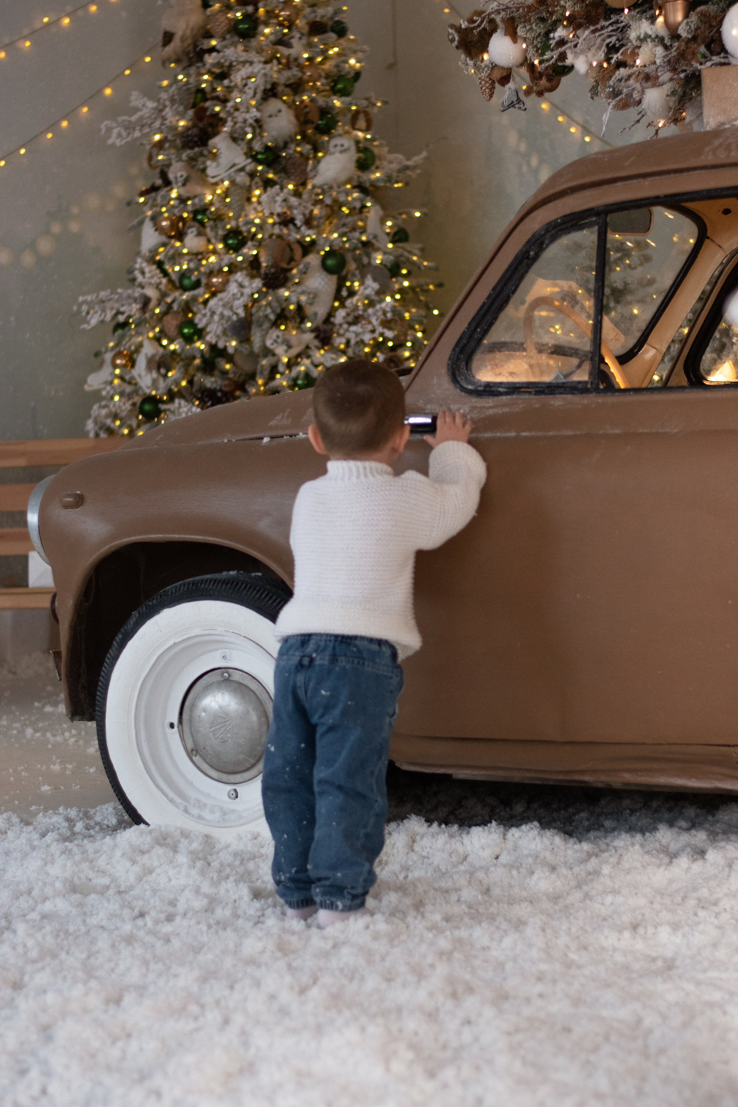 Новогодняя фотосессия. Фотограф в Новосибирске Фальман Полина