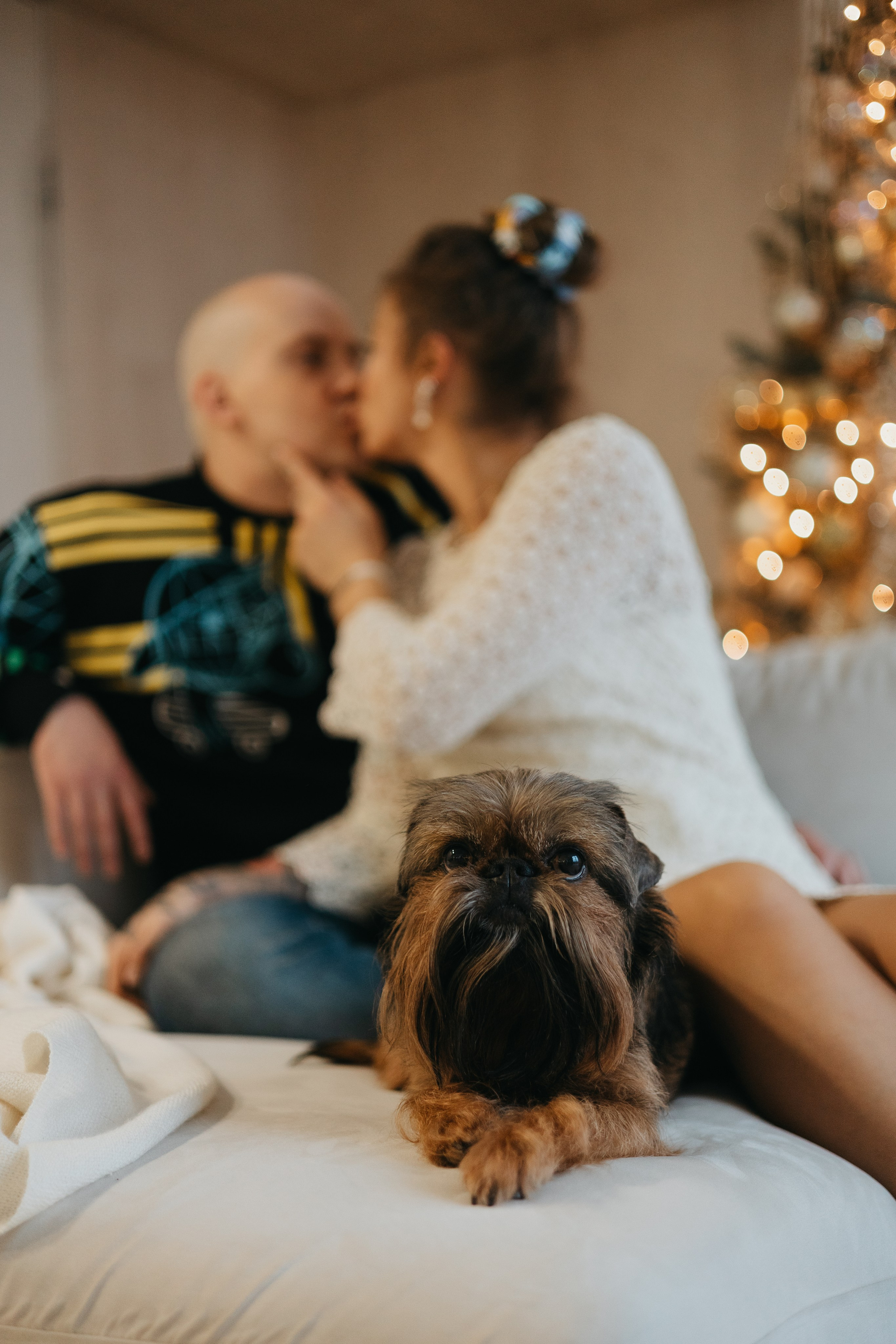 Эля, Рома, Жожо и Майкл. Фотограф животных Евгения Верцинская