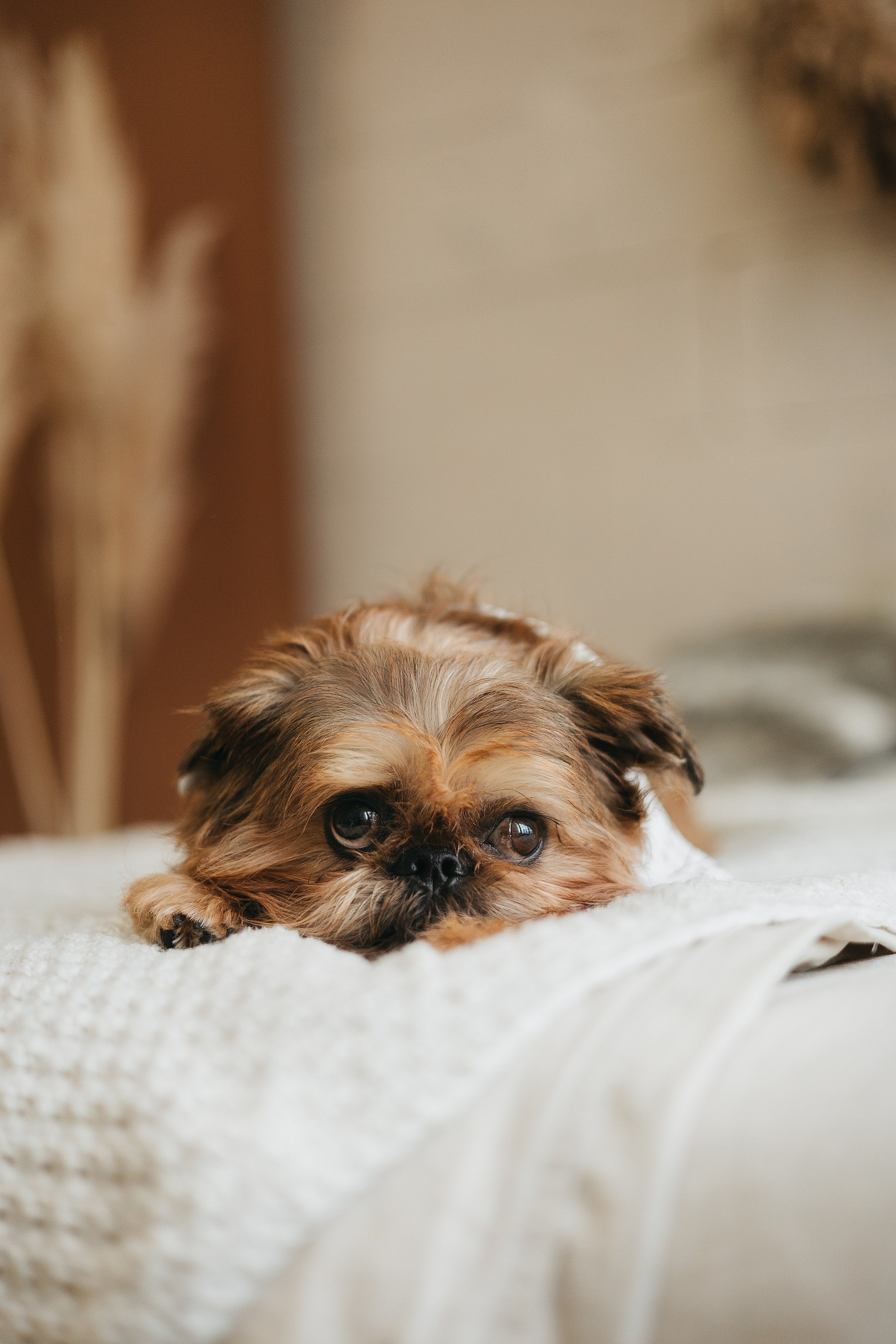 Фотограф животных Евгения Верцинская