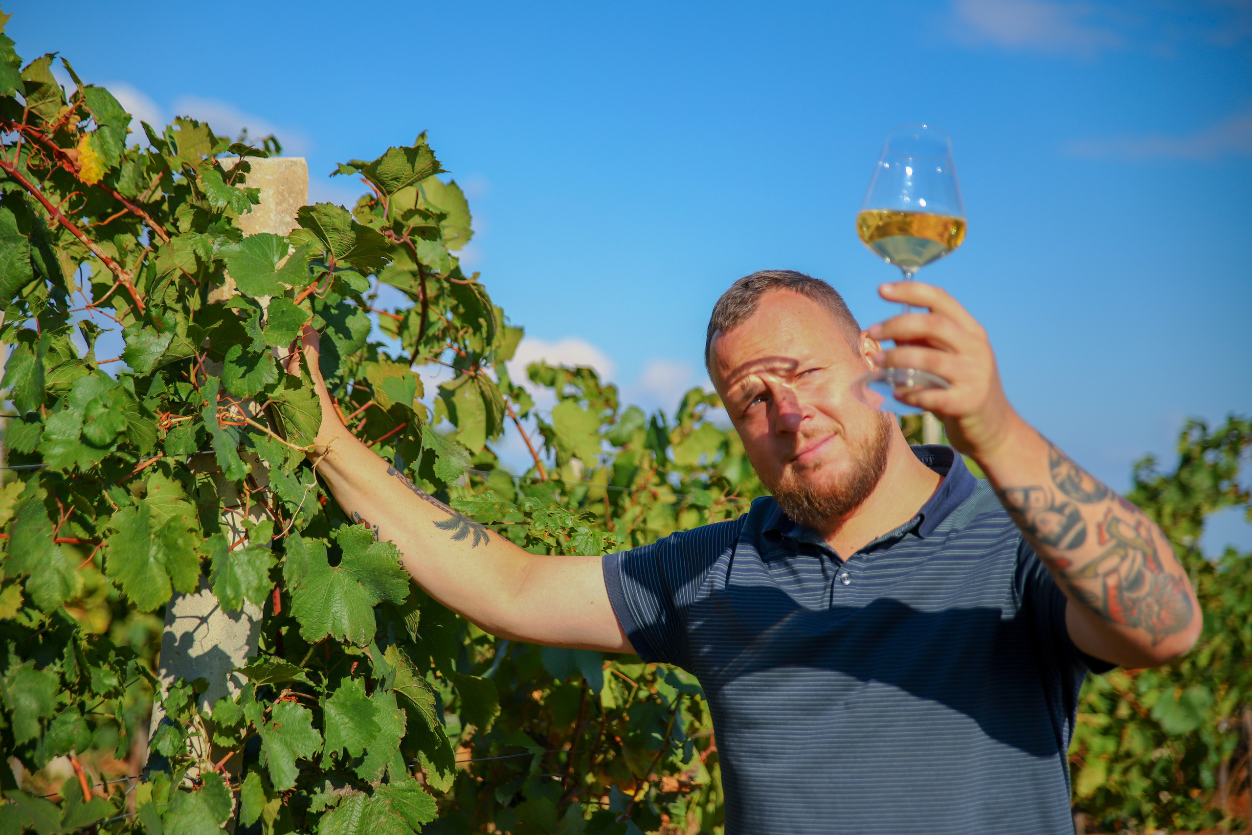 Бизнес. Самый Добрый Фотограф Краснодара