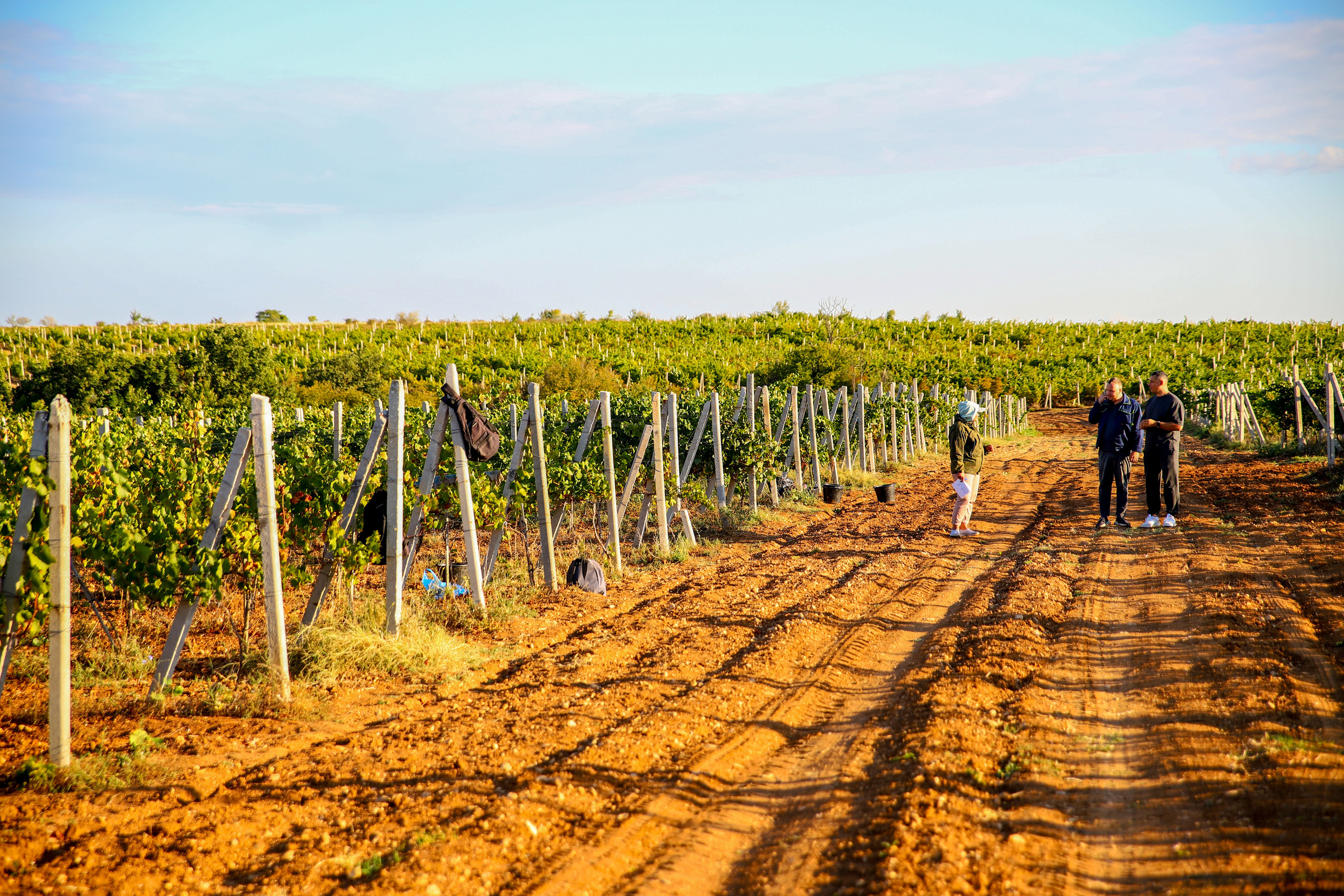 Бизнес. Самый Добрый Фотограф Краснодара