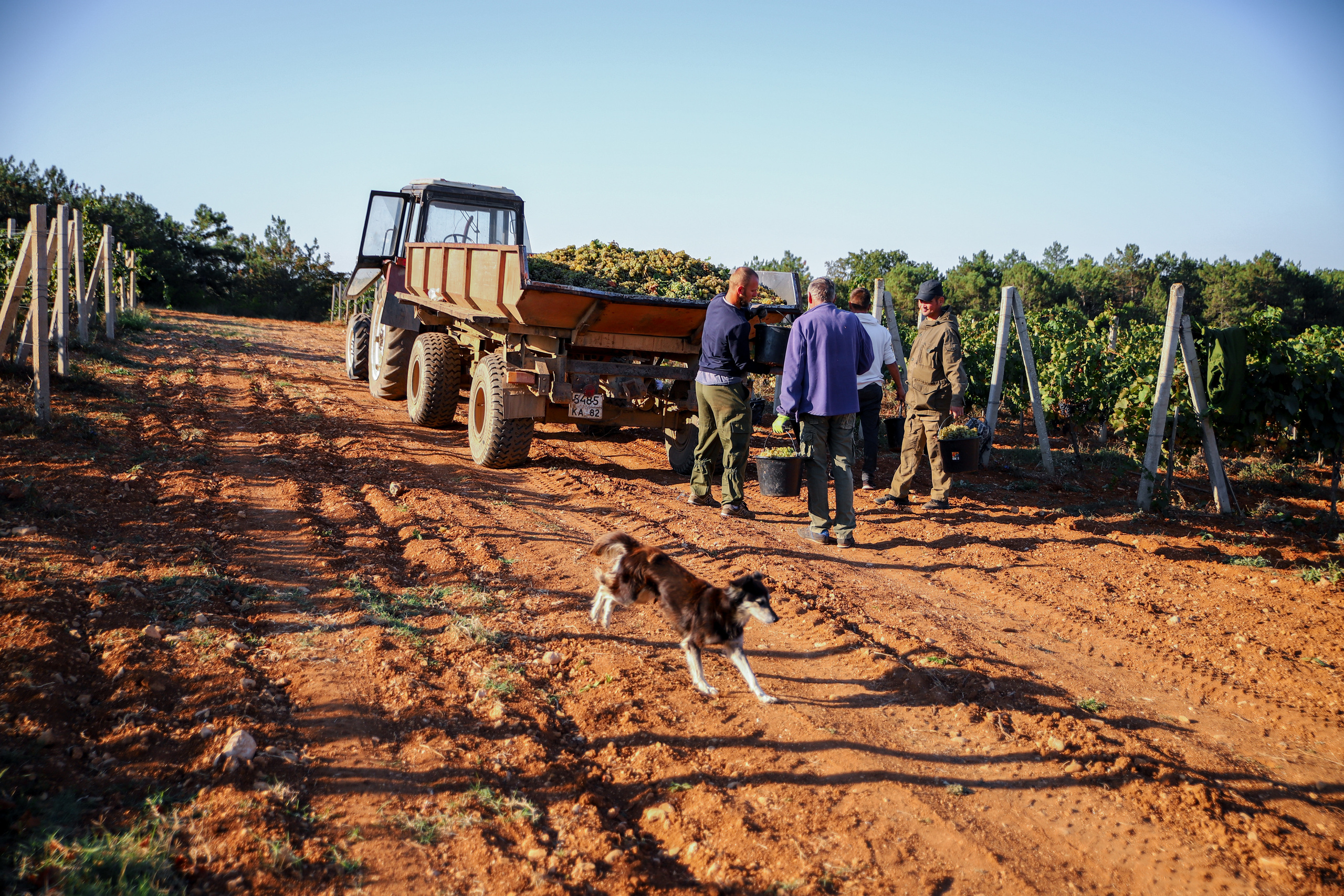 Бизнес. Самый Добрый Фотограф Краснодара