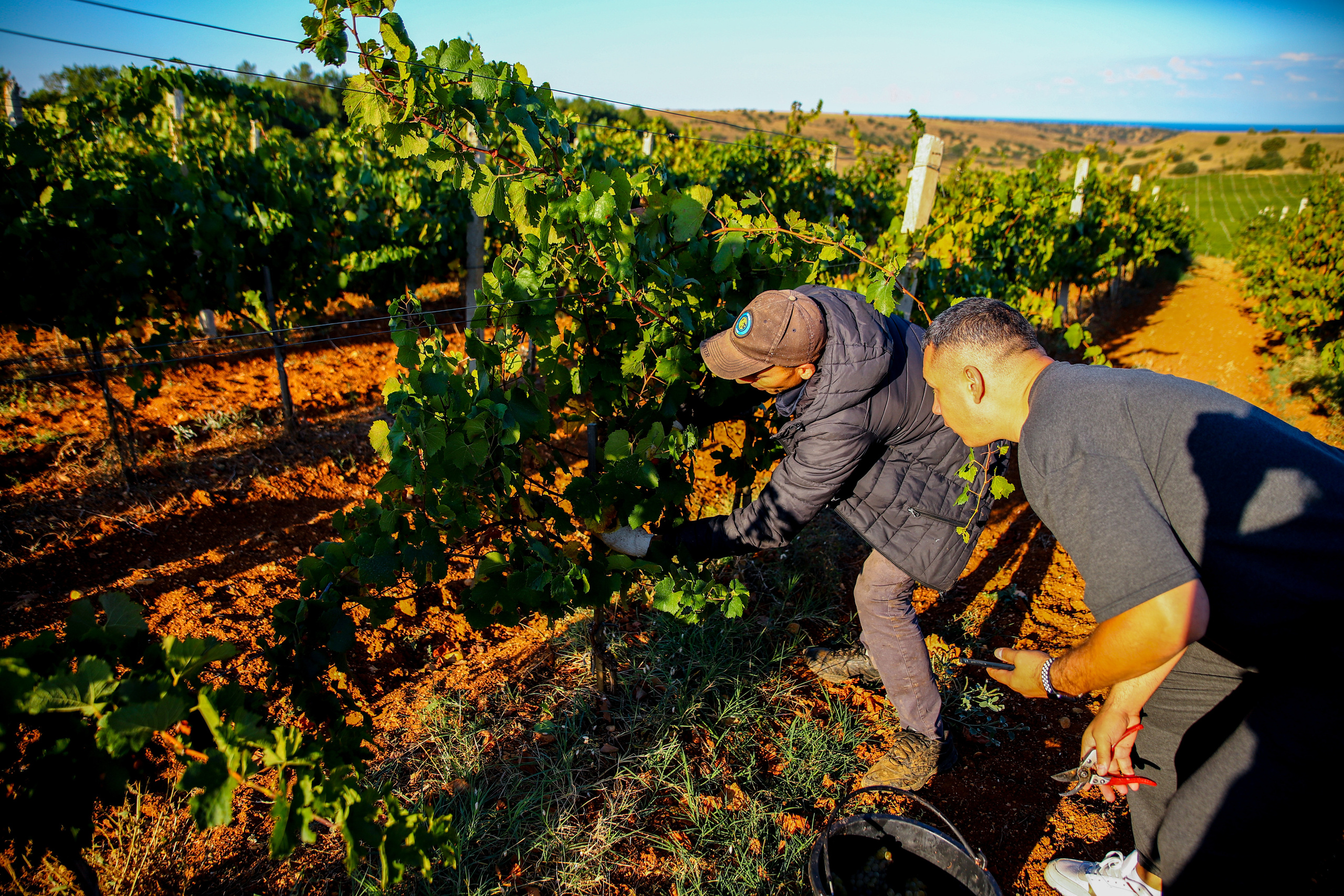 Бизнес. Самый Добрый Фотограф Краснодара