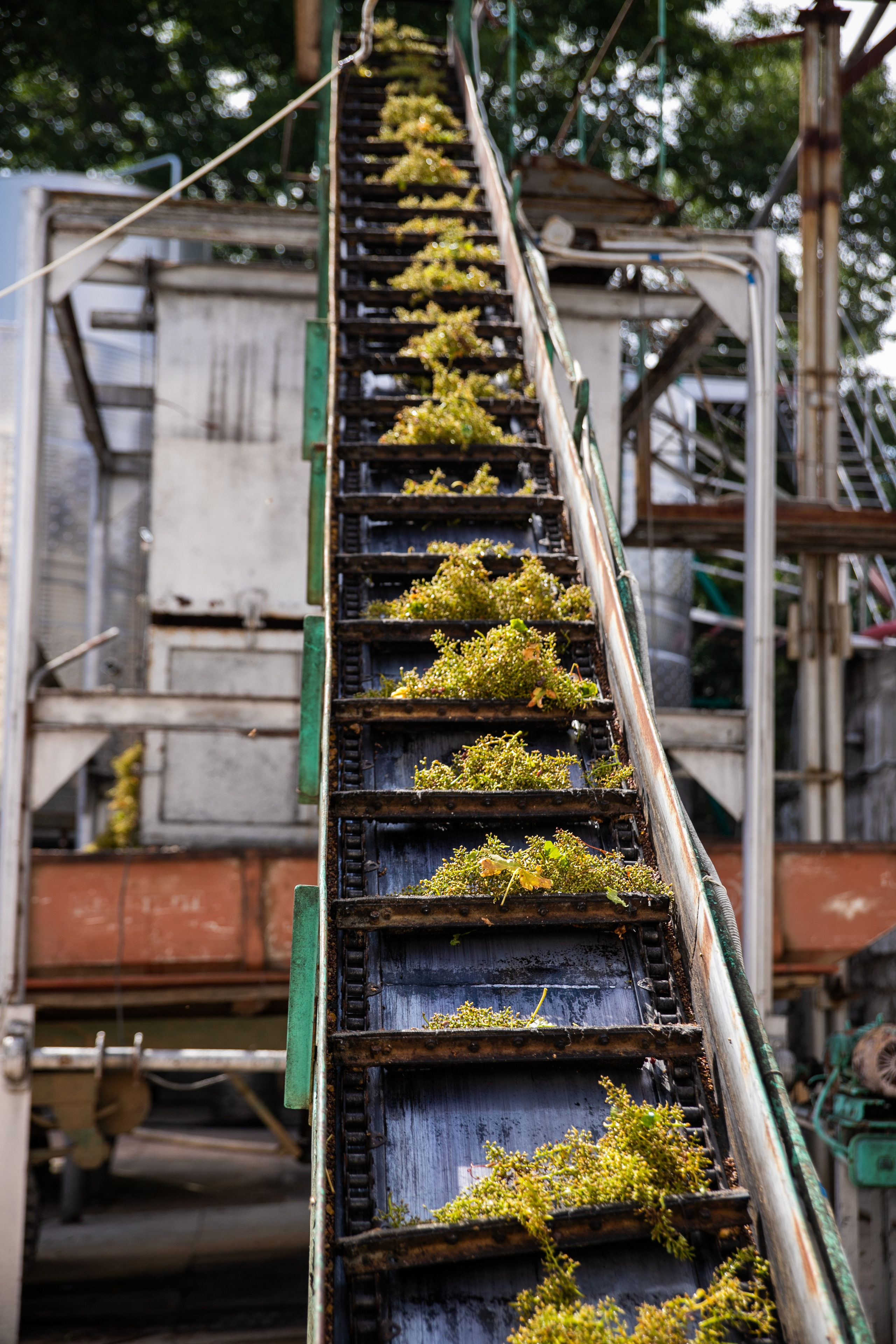 Бизнес. Самый Добрый Фотограф Краснодара