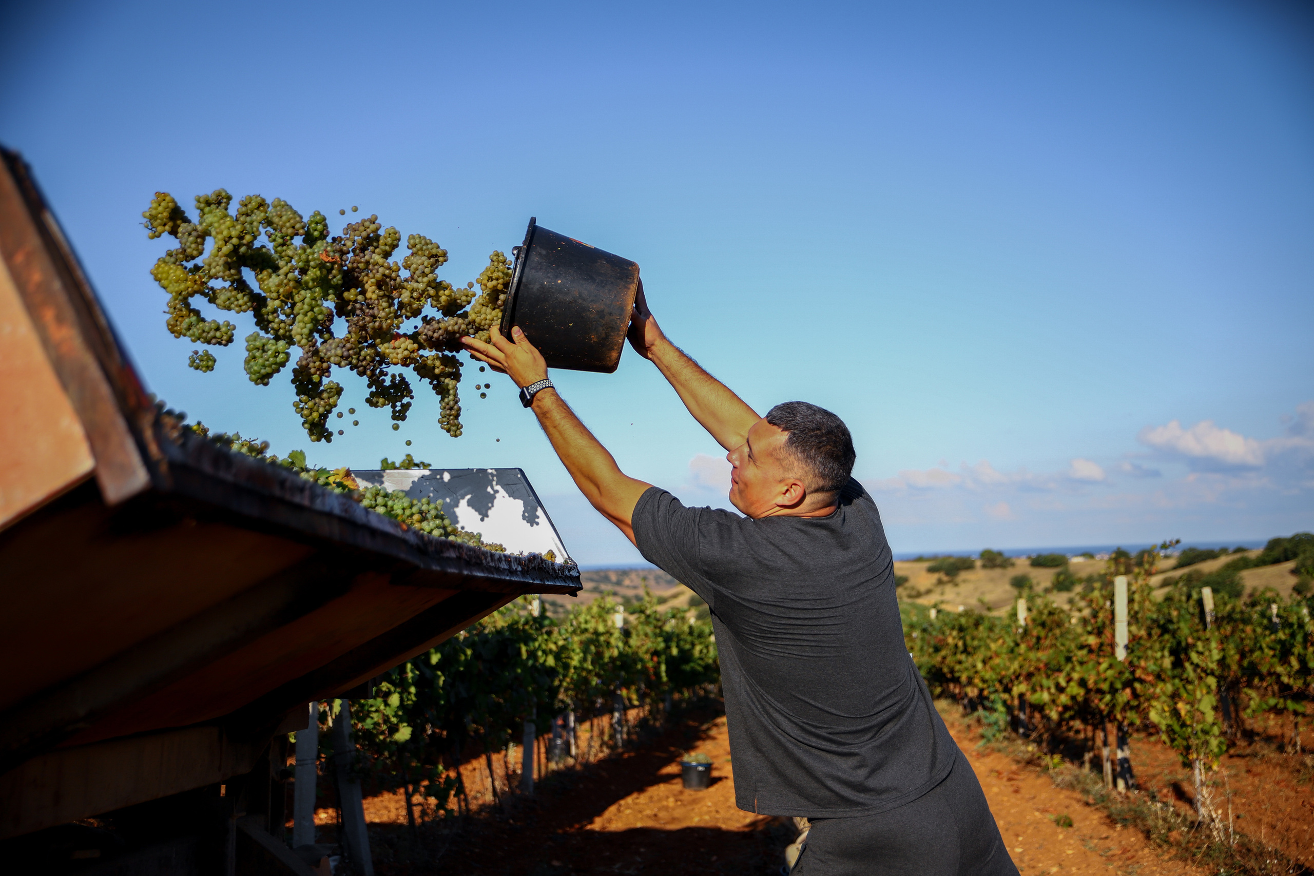 Бизнес. Самый Добрый Фотограф Краснодара